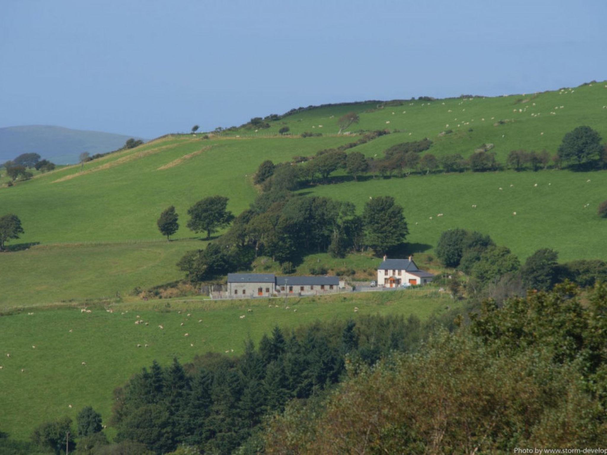 Photo 6 - Maison de 2 chambres à Talybont avec jardin