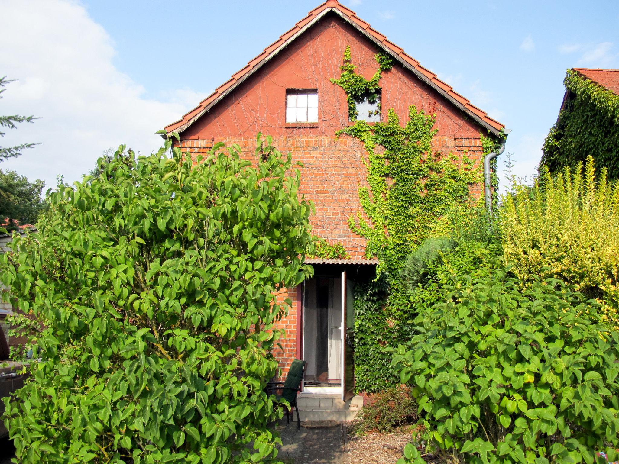 Photo 1 - Maison de 1 chambre à Buchholz avec terrasse