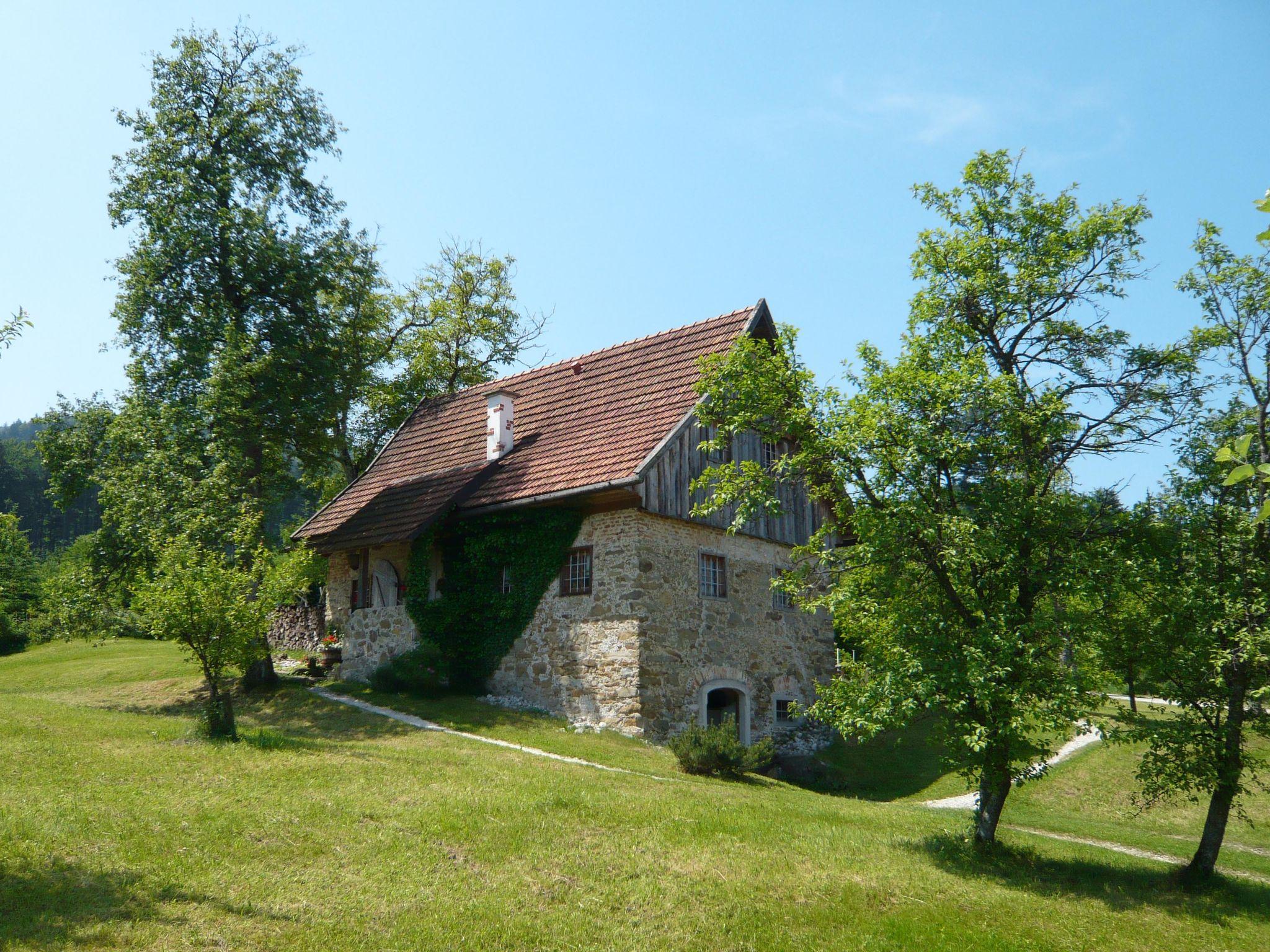 Photo 23 - Maison de 3 chambres à Regau avec jardin et terrasse