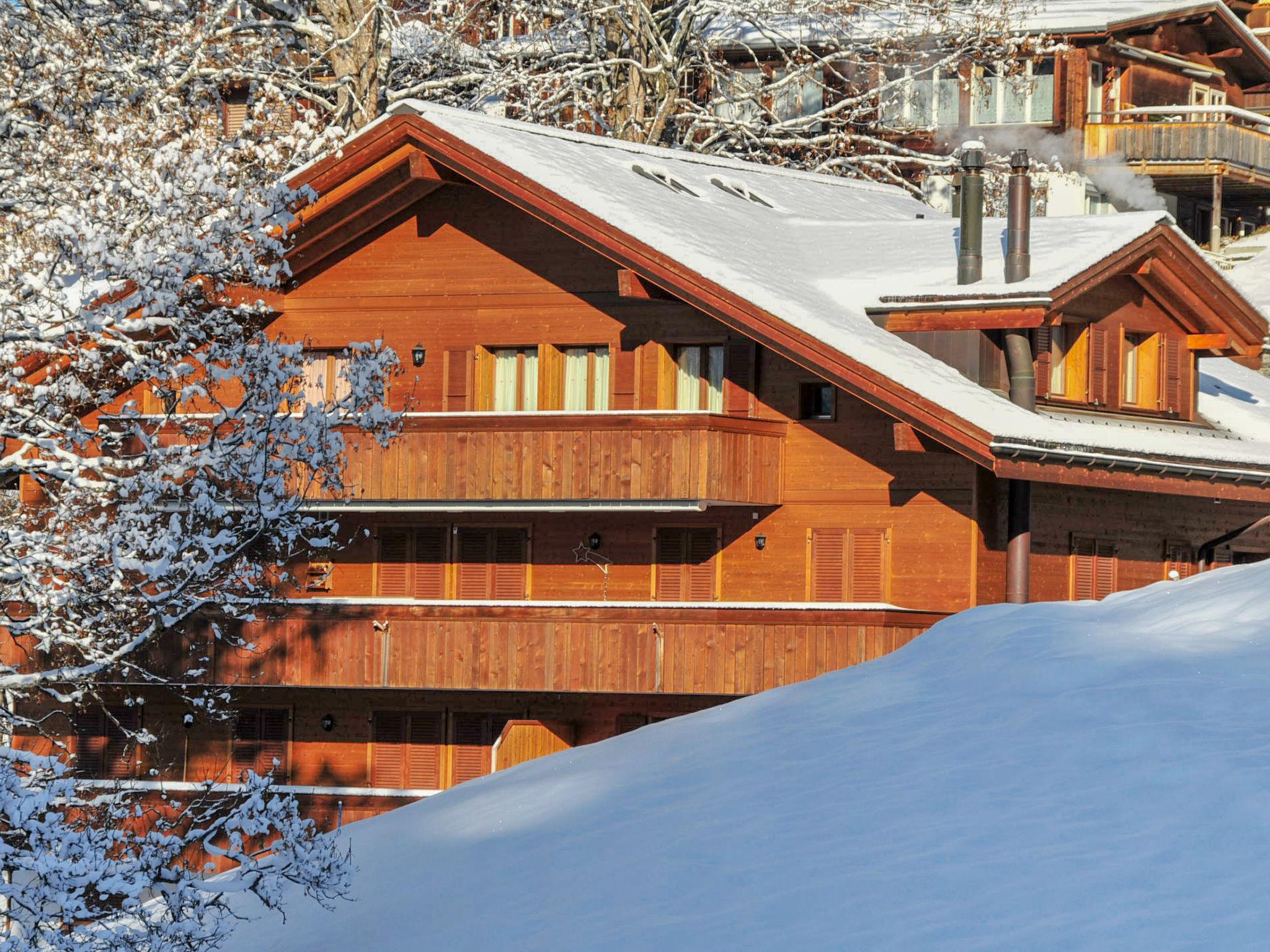 Photo 24 - Appartement de 3 chambres à Lauterbrunnen avec vues sur la montagne