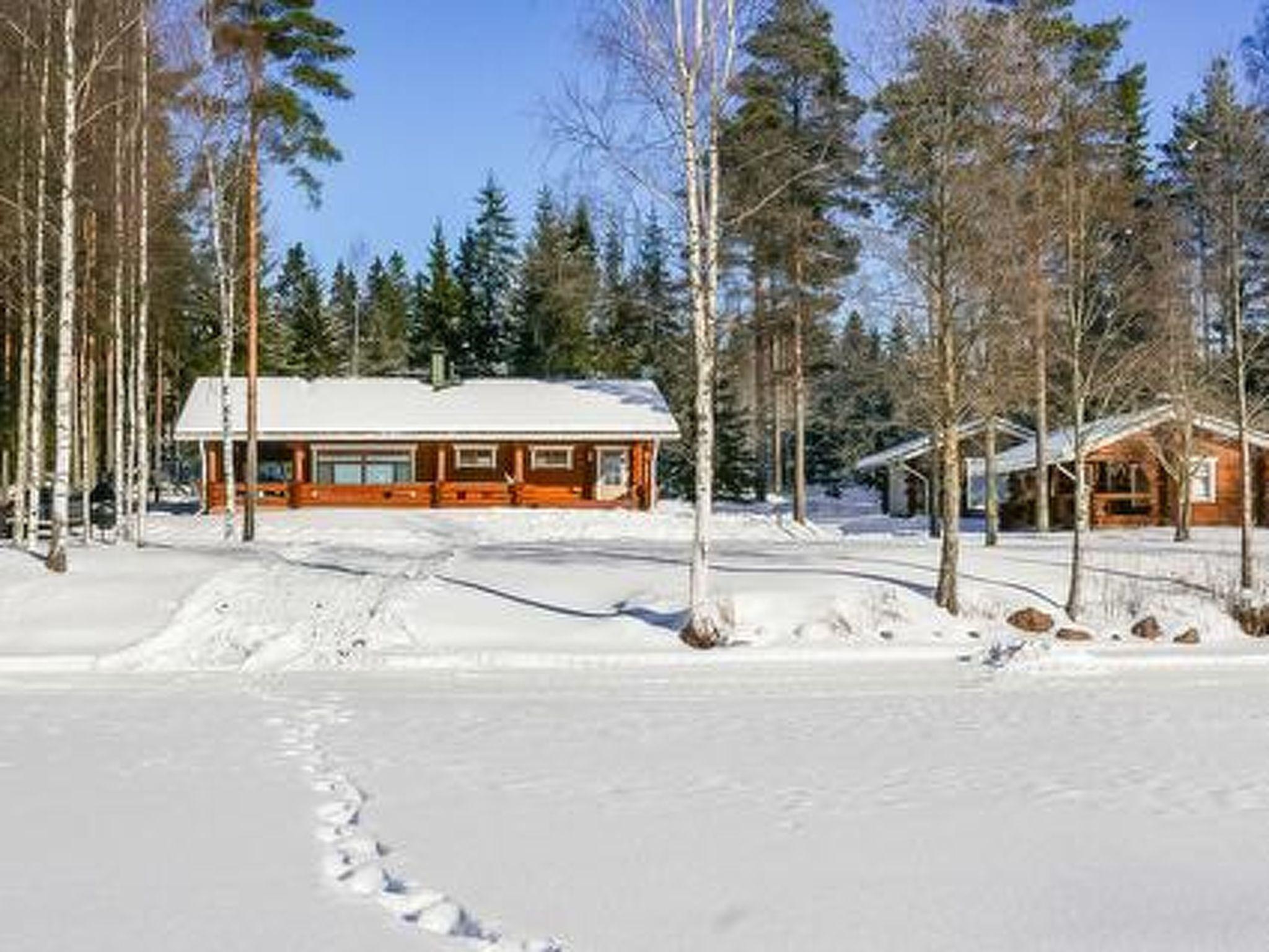 Photo 3 - Maison de 3 chambres à Ikaalinen avec sauna