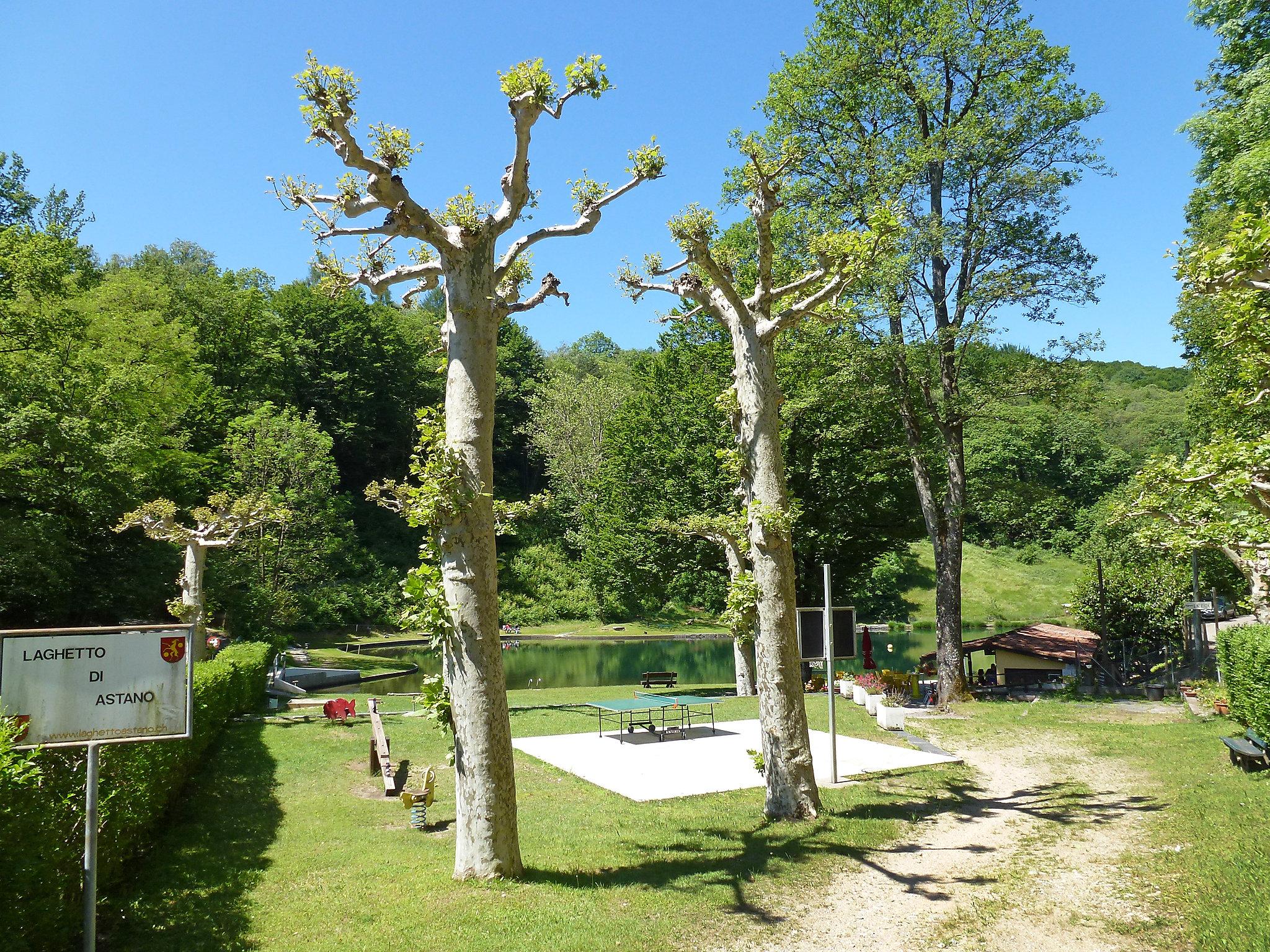 Foto 24 - Casa de 3 quartos em Astano com jardim e vista para a montanha