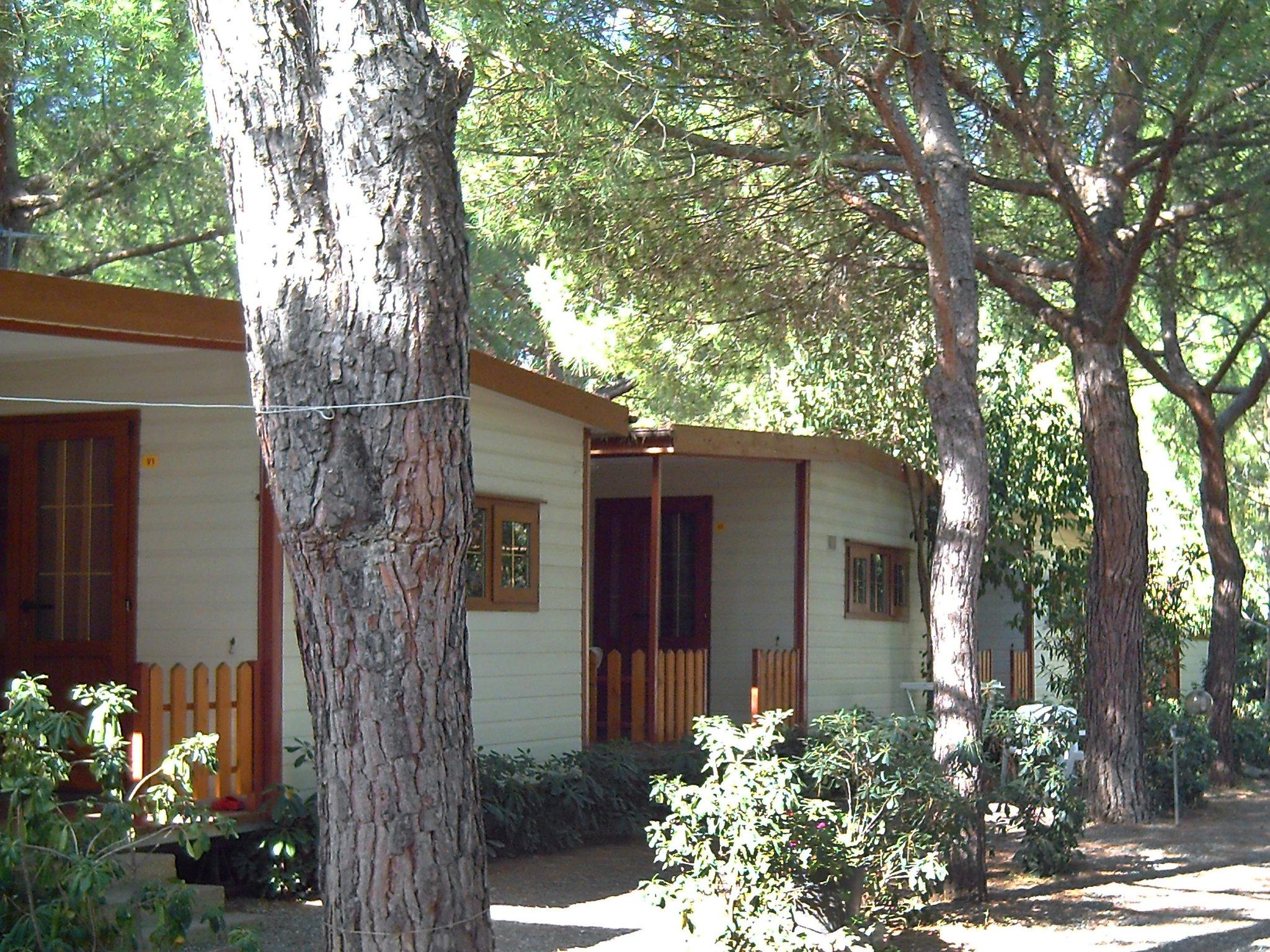 Photo 4 - Maison de 2 chambres à Bibbona avec piscine et vues à la mer