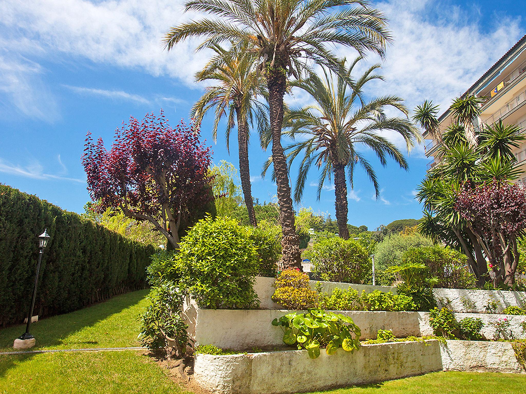 Photo 18 - 2 bedroom Apartment in Calella with swimming pool and sea view