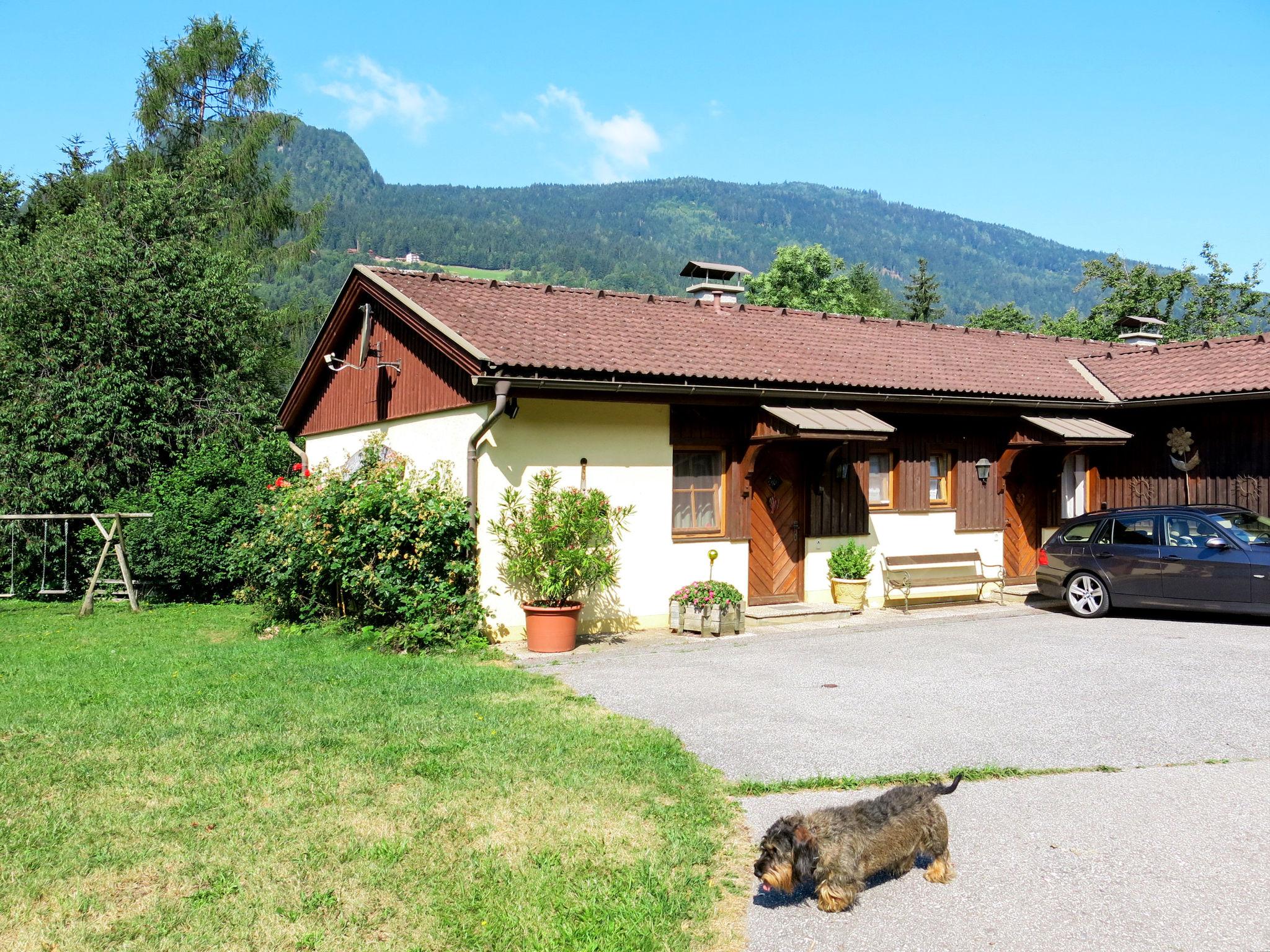 Foto 17 - Apartamento de 2 quartos em Treffen am Ossiacher See com jardim e vista para a montanha