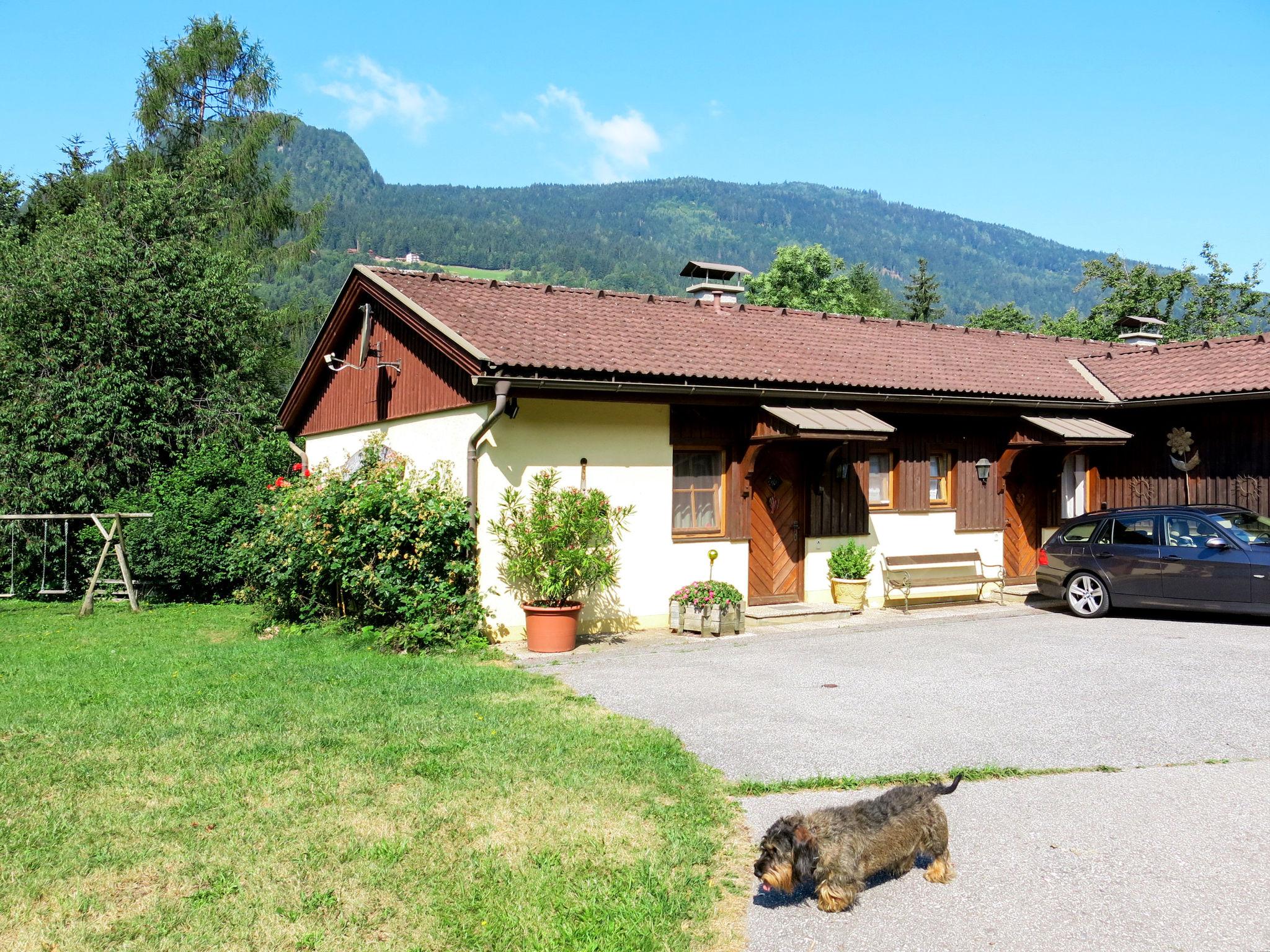 Photo 9 - Appartement de 2 chambres à Treffen am Ossiacher See avec jardin et vues sur la montagne