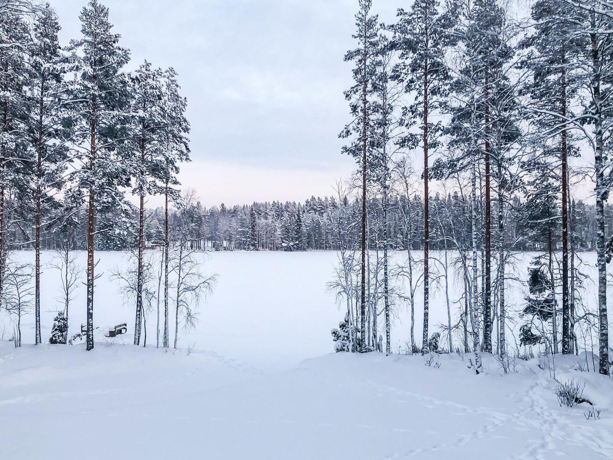 Photo 27 - Maison de 3 chambres à Jämsä avec sauna