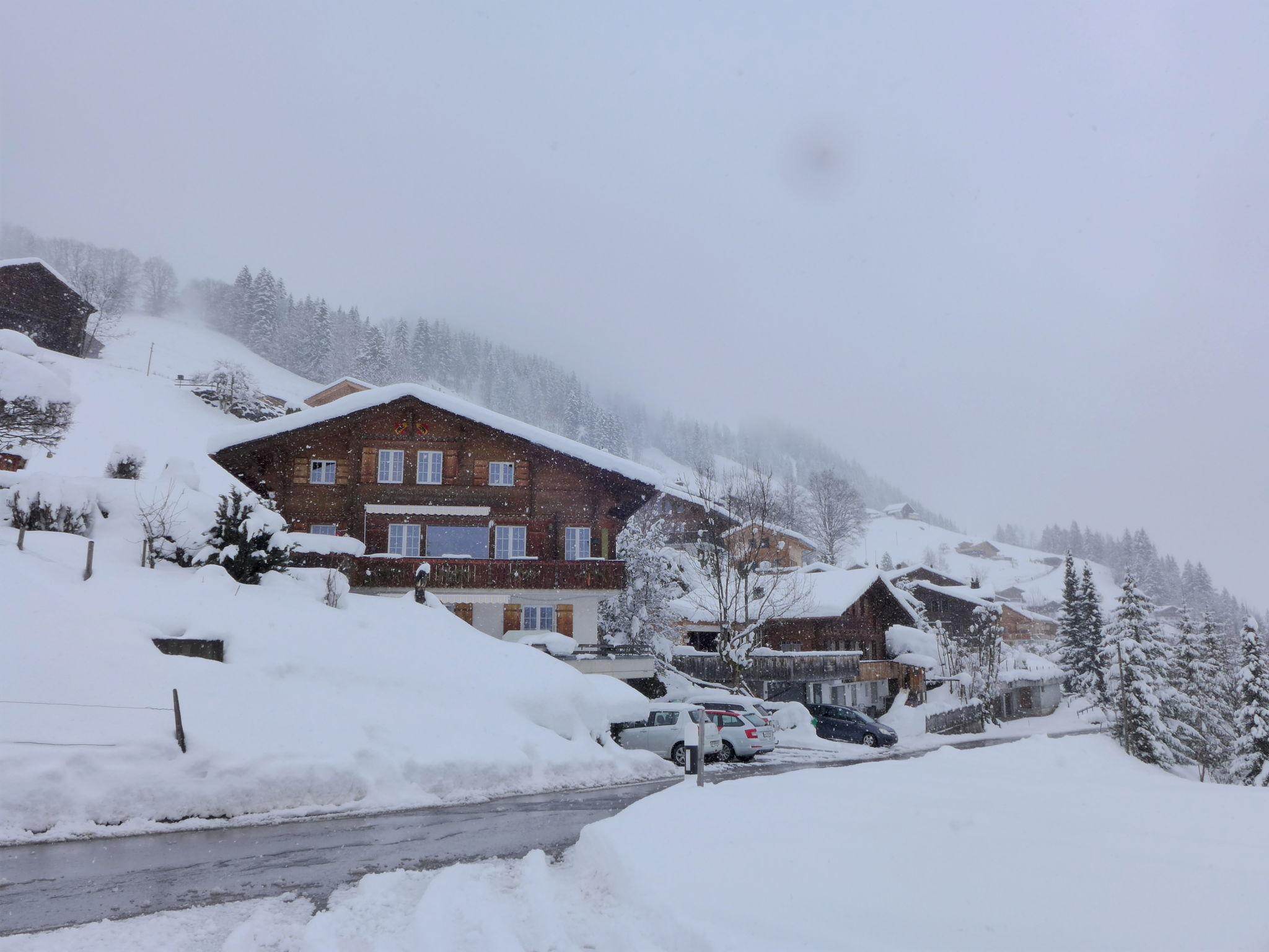 Photo 24 - Appartement de 1 chambre à Lenk avec jardin et vues sur la montagne