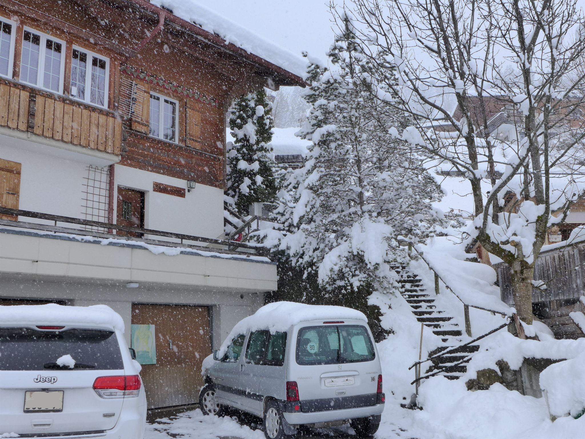 Photo 23 - Appartement de 1 chambre à Lenk avec jardin et vues sur la montagne