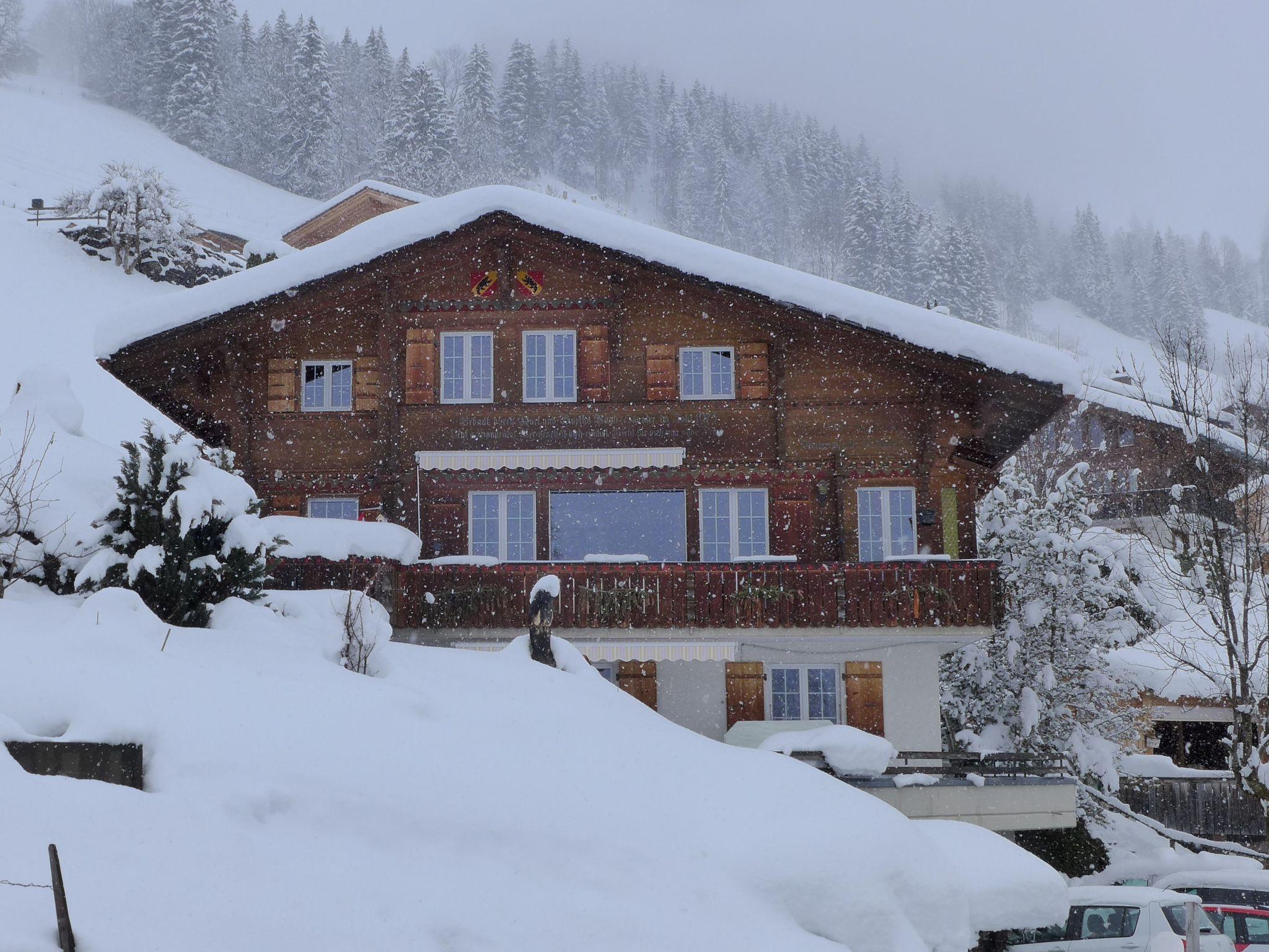 Photo 22 - Appartement de 1 chambre à Lenk avec jardin et terrasse