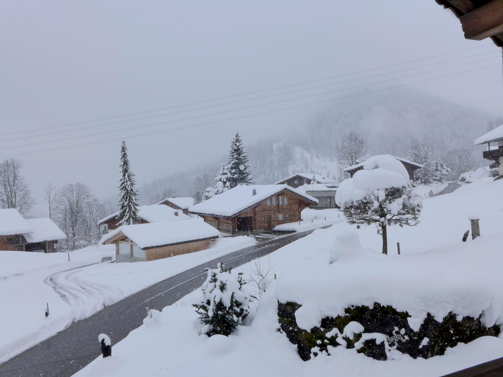 Foto 25 - Appartamento con 1 camera da letto a Lenk con giardino e vista sulle montagne