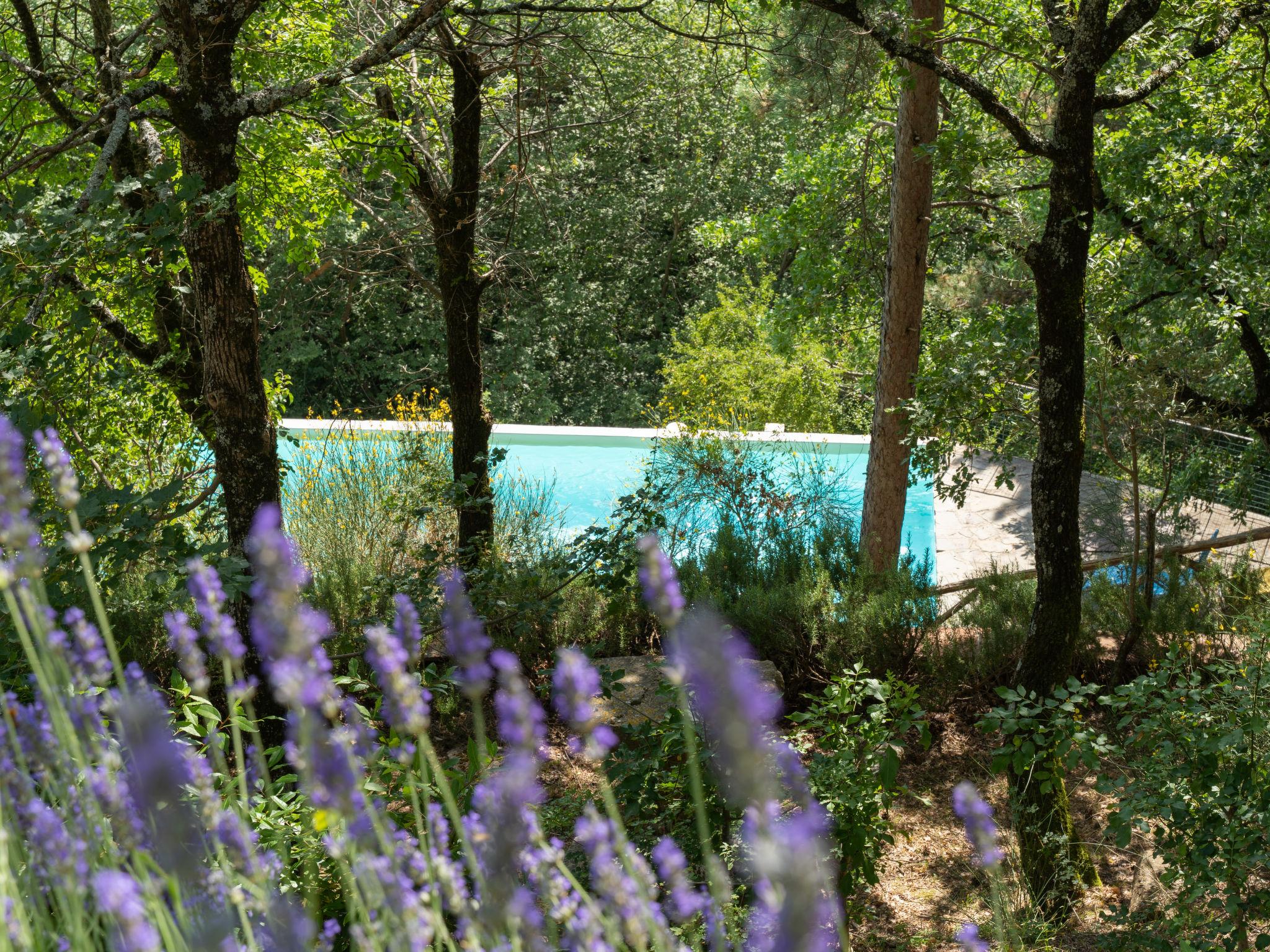 Foto 32 - Casa de 10 habitaciones en Londa con piscina y jardín