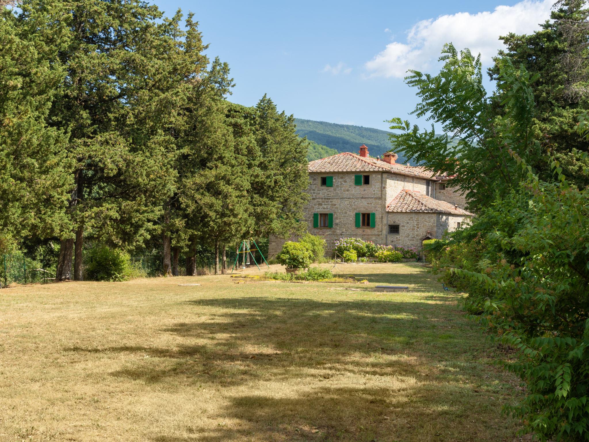 Foto 1 - Casa con 10 camere da letto a Londa con piscina e giardino