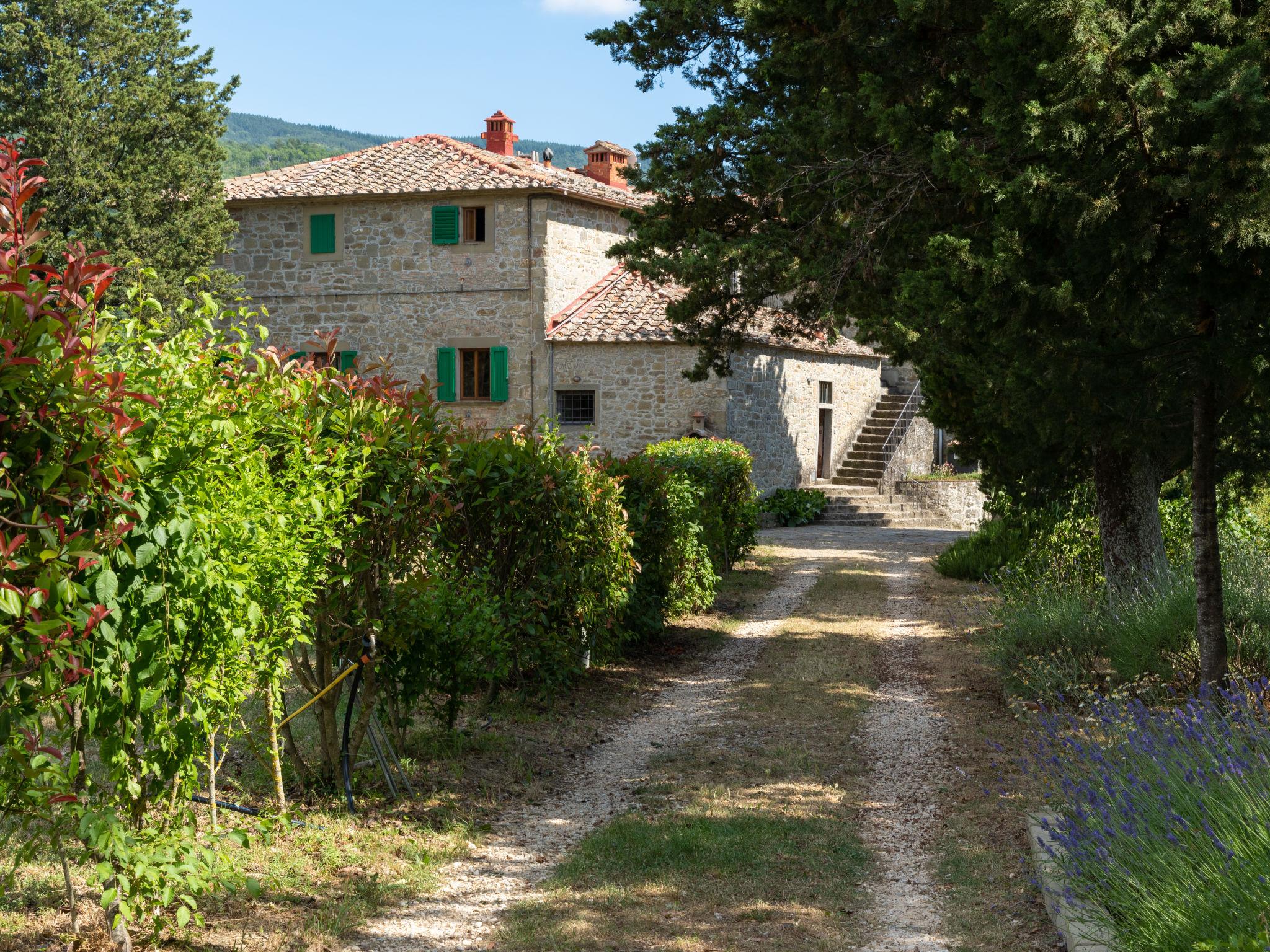 Photo 27 - 10 bedroom House in Londa with swimming pool and garden