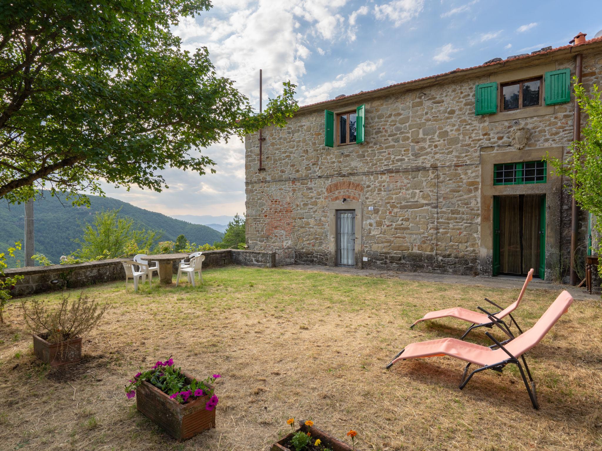 Foto 30 - Casa con 10 camere da letto a Londa con piscina e giardino