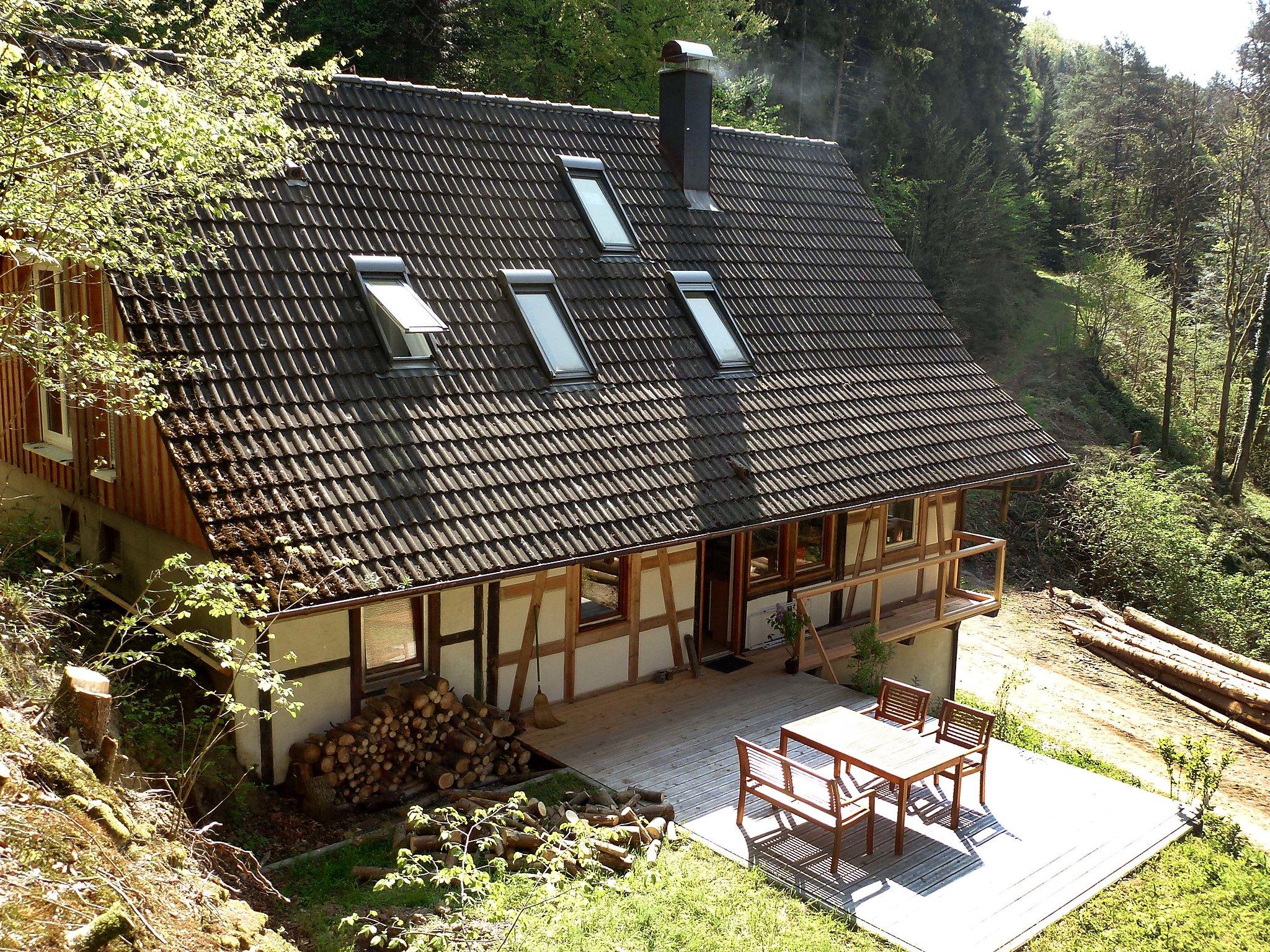 Foto 18 - Casa con 3 camere da letto a Wolfach con terrazza e vista sulle montagne