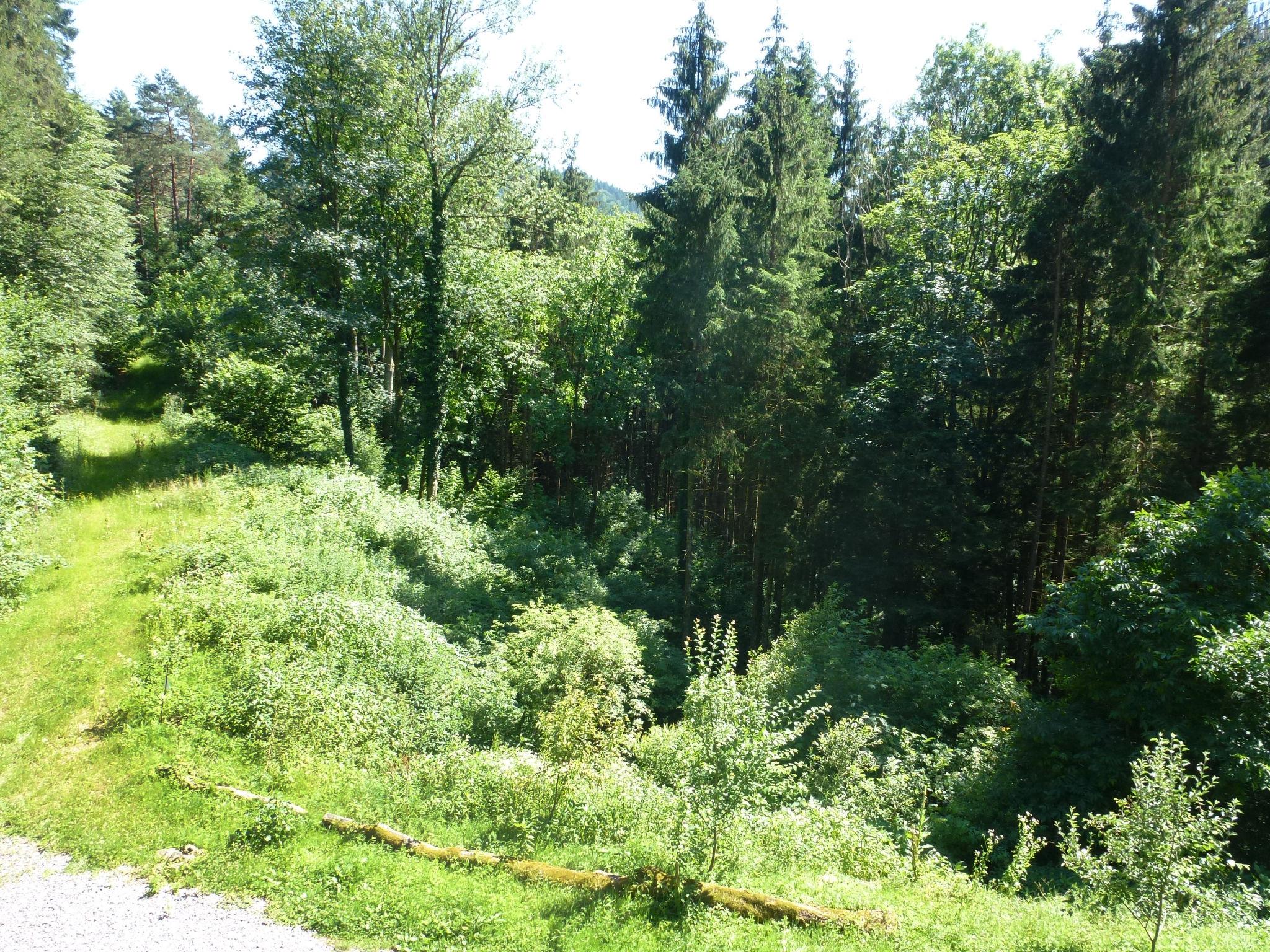 Foto 16 - Casa de 3 quartos em Wolfach com terraço e vista para a montanha
