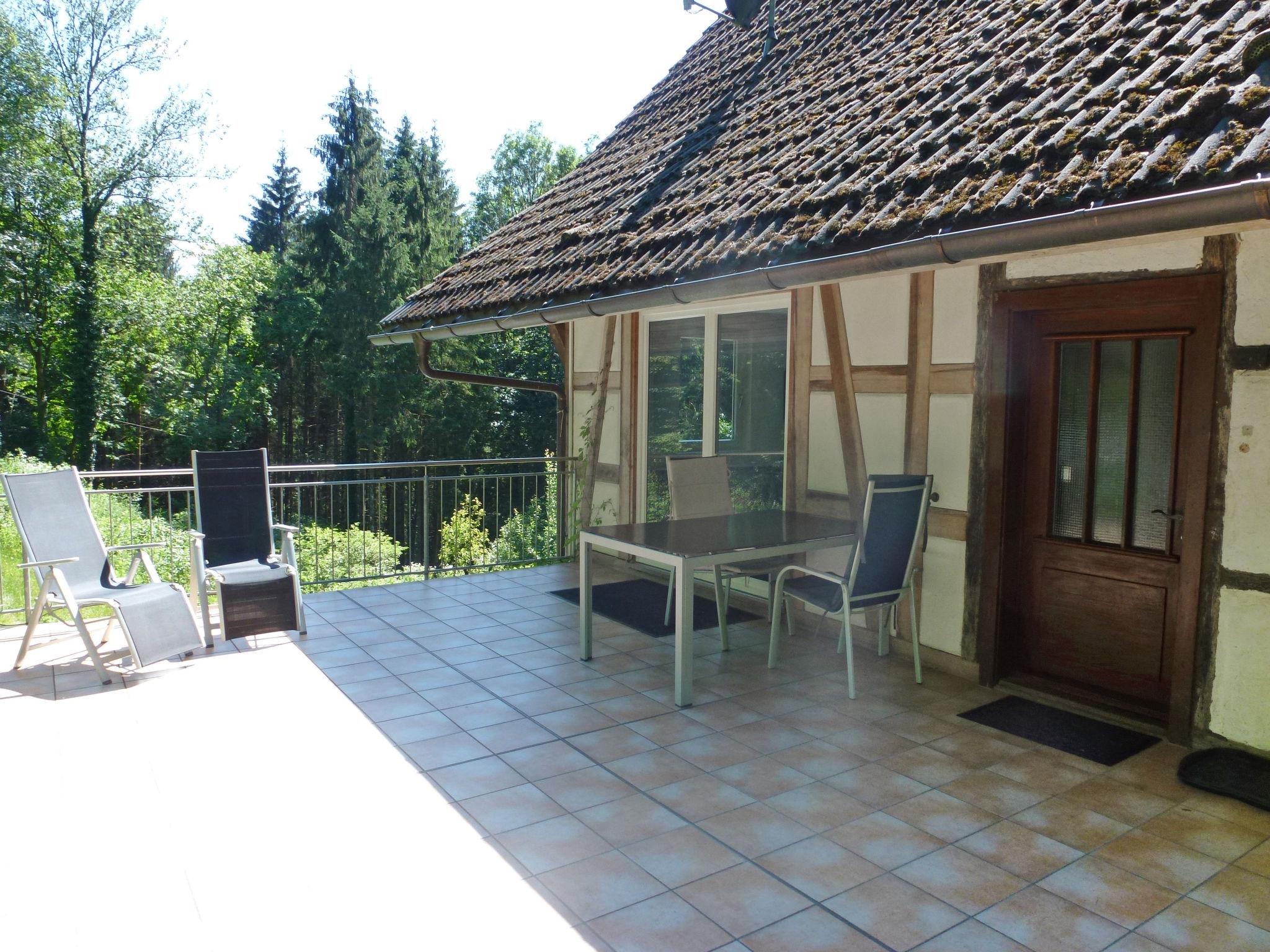 Photo 15 - 3 bedroom House in Wolfach with garden and terrace