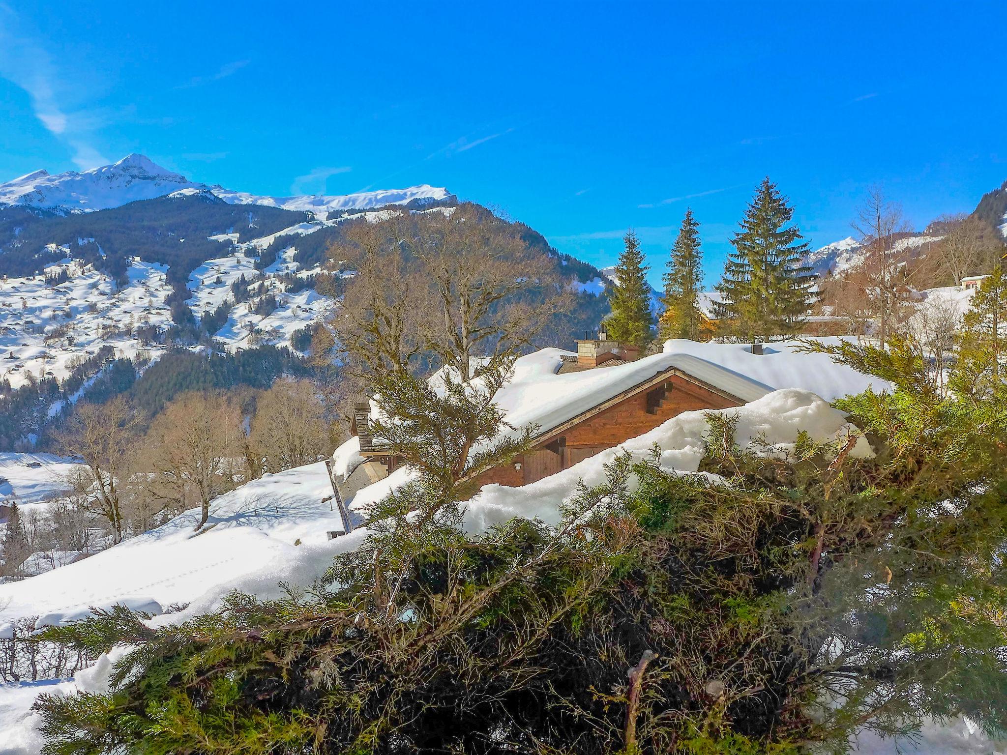 Foto 23 - Apartamento de 1 quarto em Grindelwald com terraço e vista para a montanha