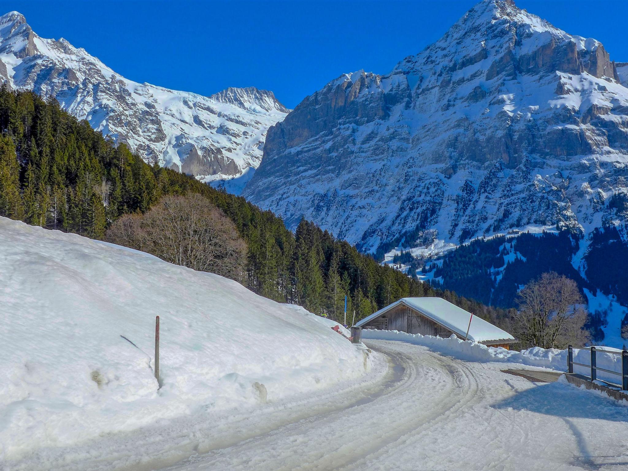 Photo 26 - 1 bedroom Apartment in Grindelwald with terrace and mountain view