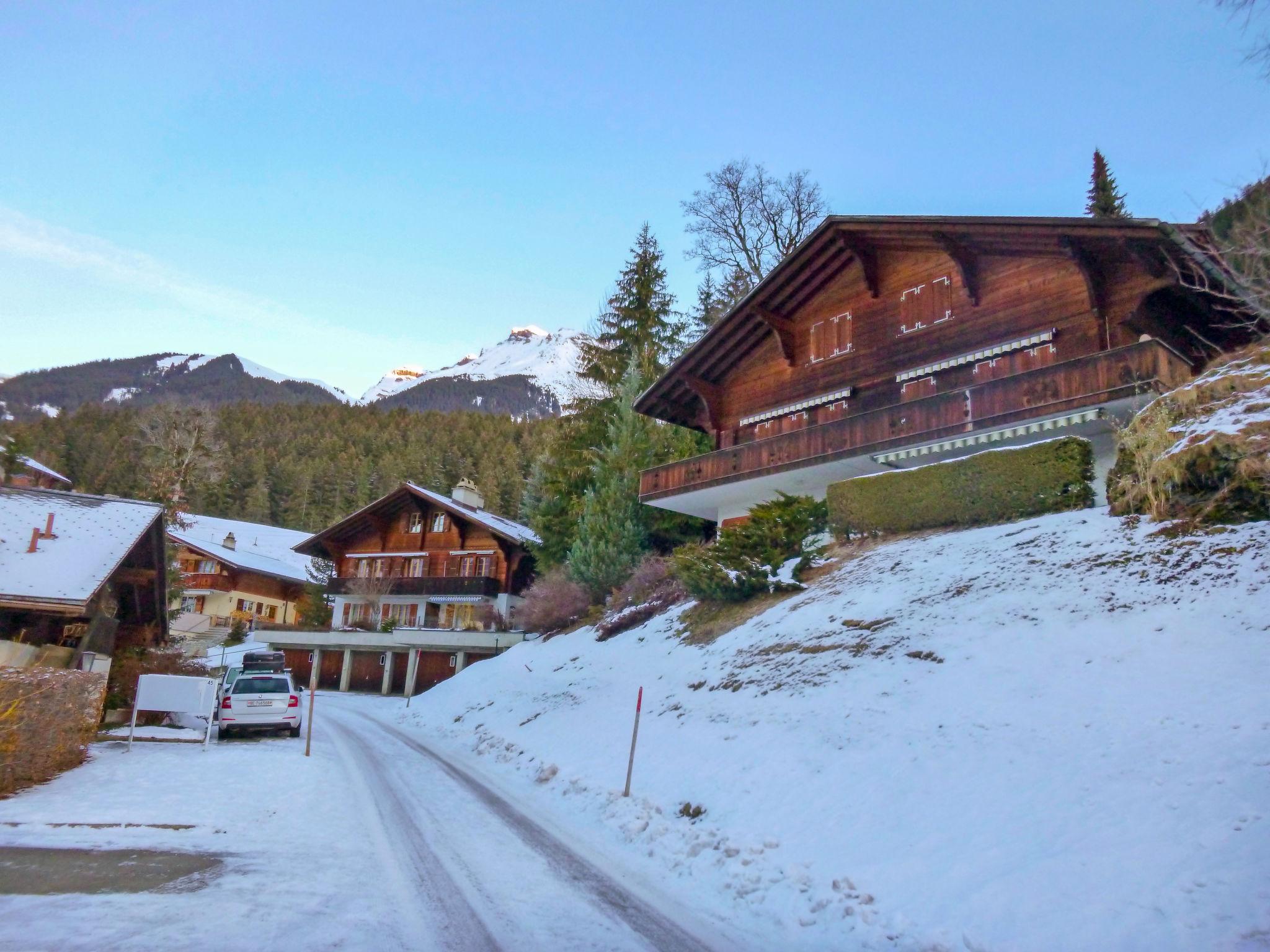 Foto 28 - Apartamento de 1 quarto em Grindelwald com terraço e vista para a montanha