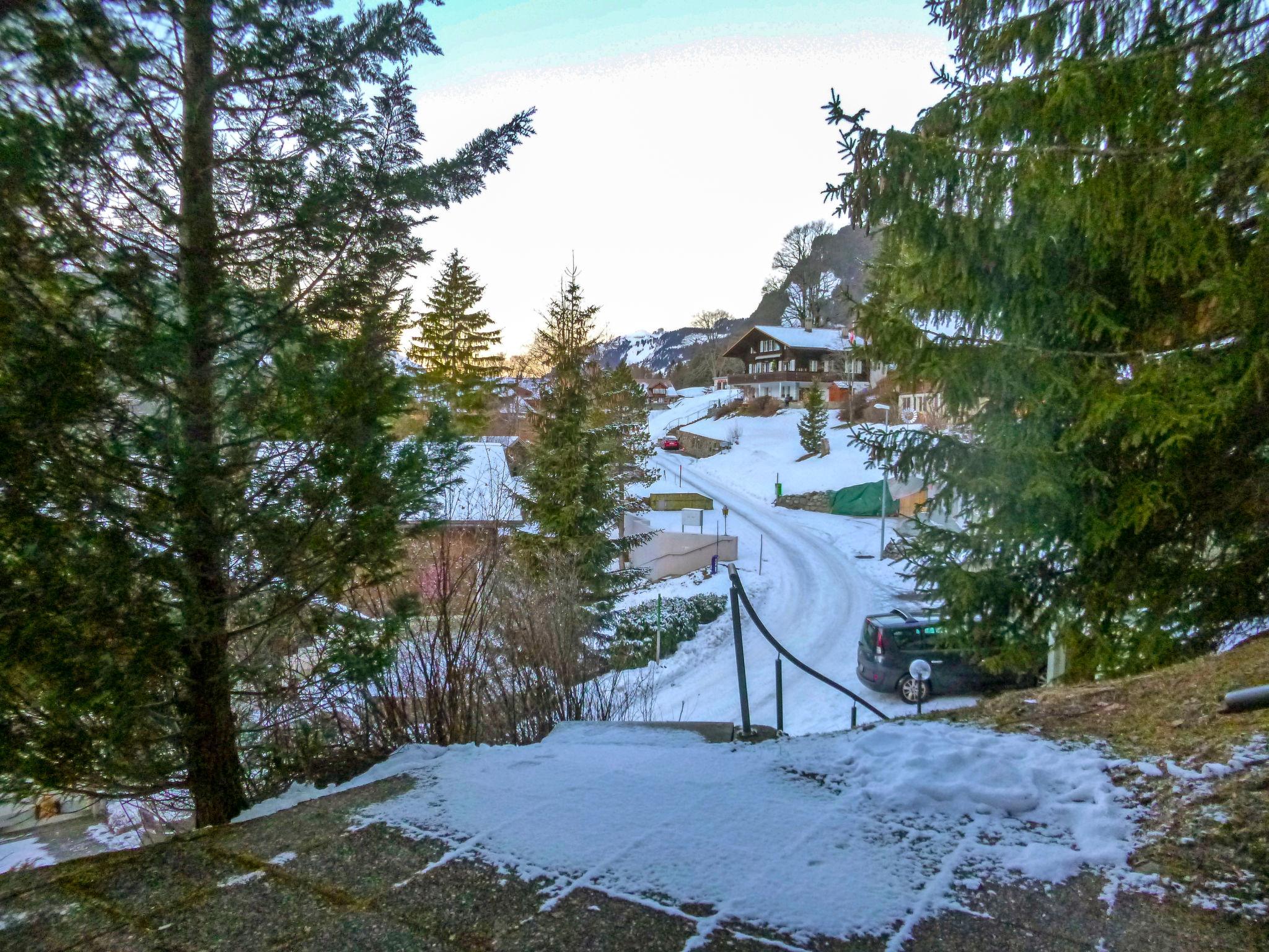 Foto 18 - Appartamento con 1 camera da letto a Grindelwald con terrazza e vista sulle montagne