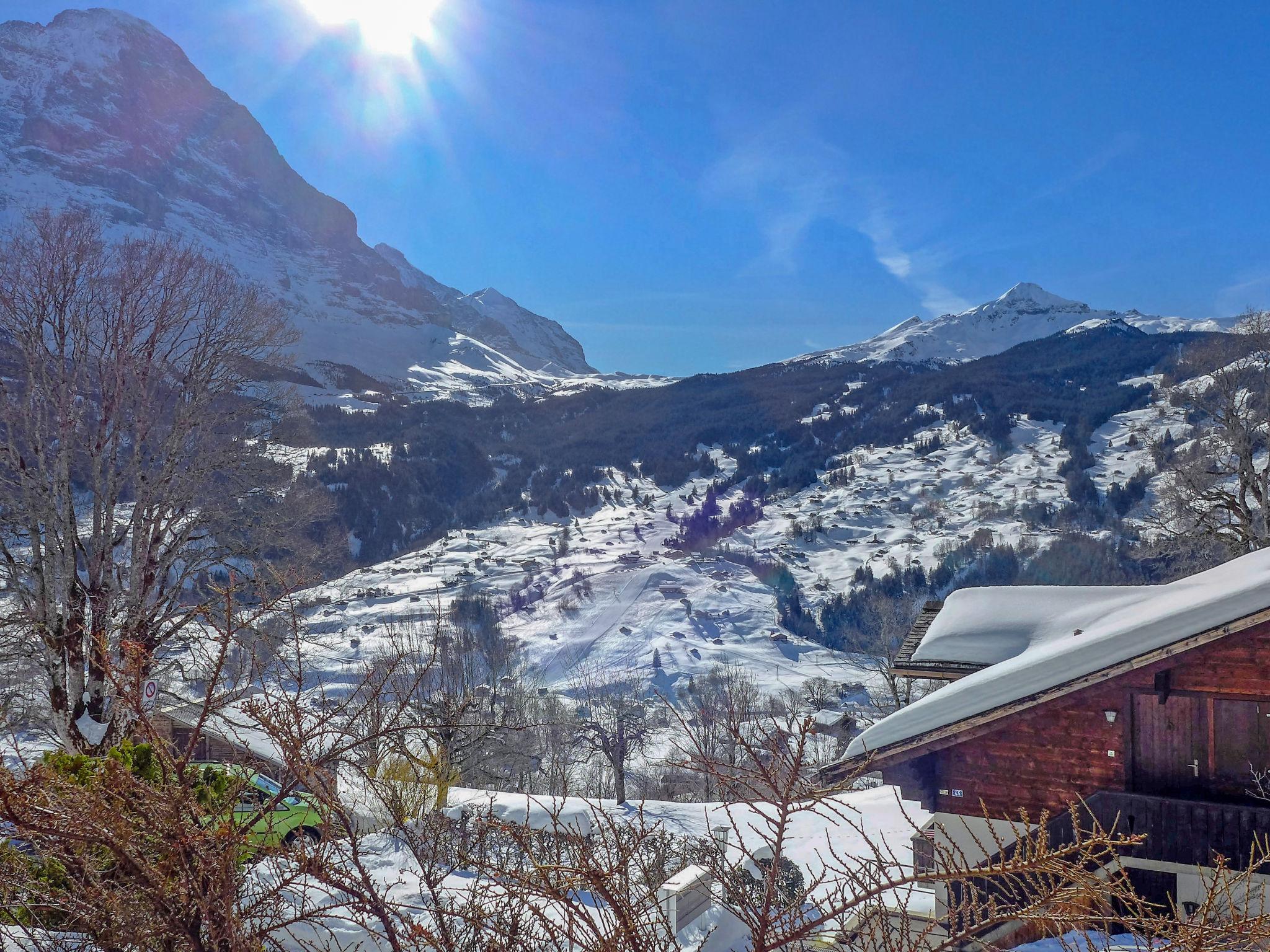 Photo 20 - 1 bedroom Apartment in Grindelwald with garden and terrace