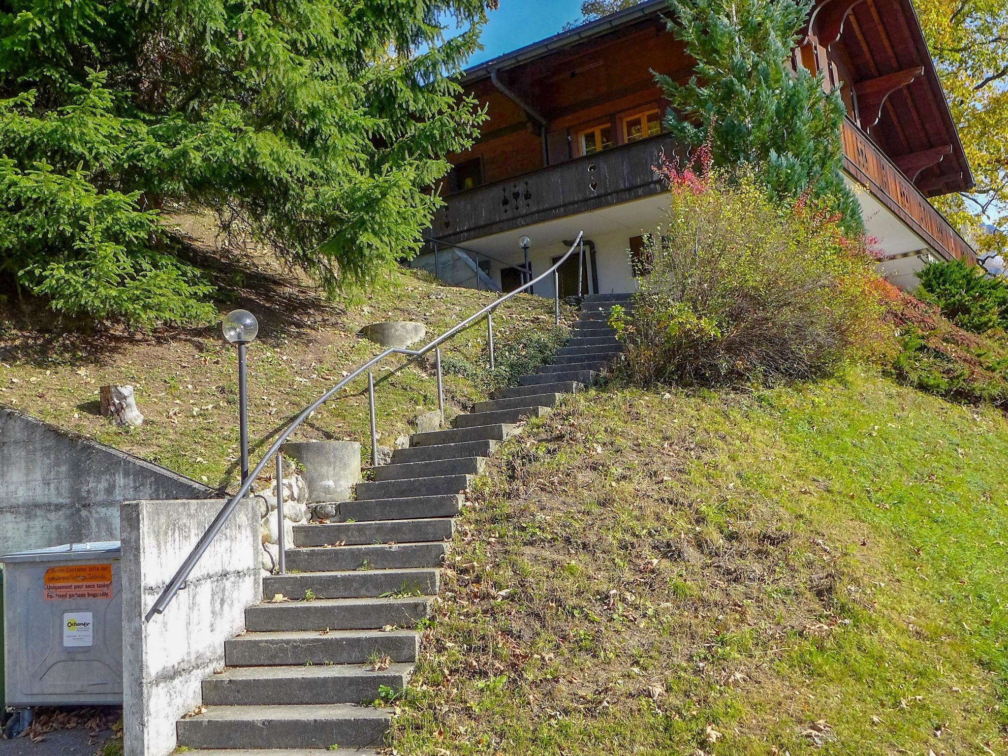 Foto 15 - Apartamento de 1 habitación en Grindelwald con jardín y terraza