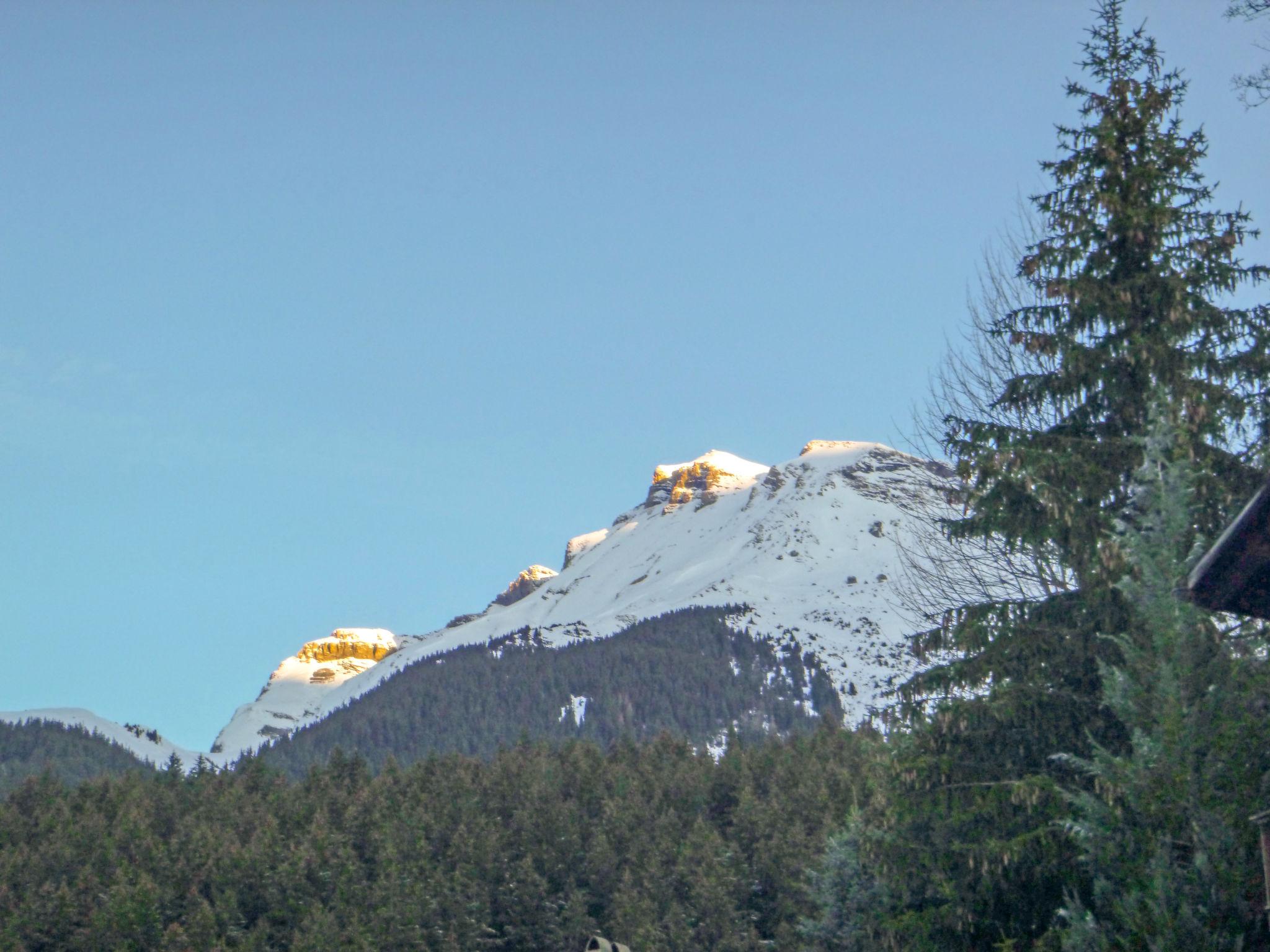 Photo 19 - 1 bedroom Apartment in Grindelwald with garden and terrace