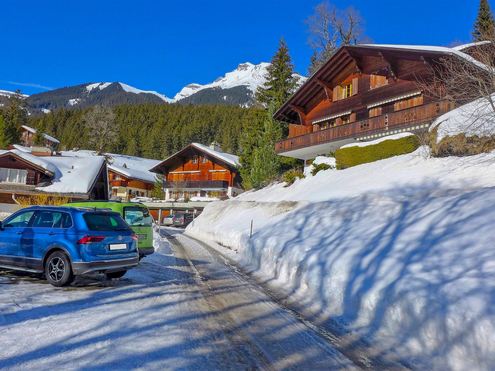 Photo 32 - 1 bedroom Apartment in Grindelwald with terrace and mountain view