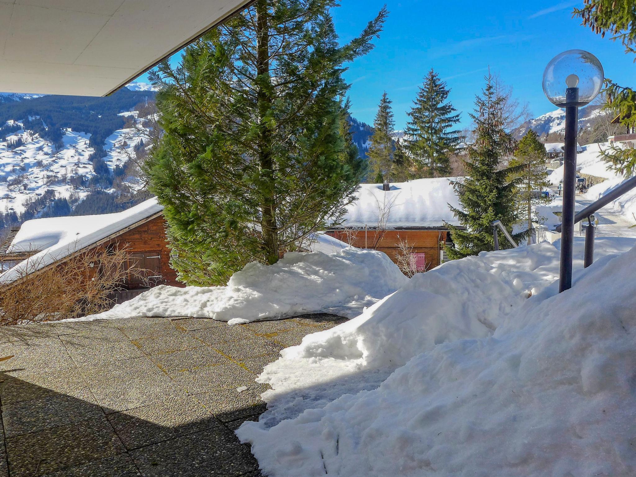 Foto 25 - Appartamento con 1 camera da letto a Grindelwald con giardino e terrazza