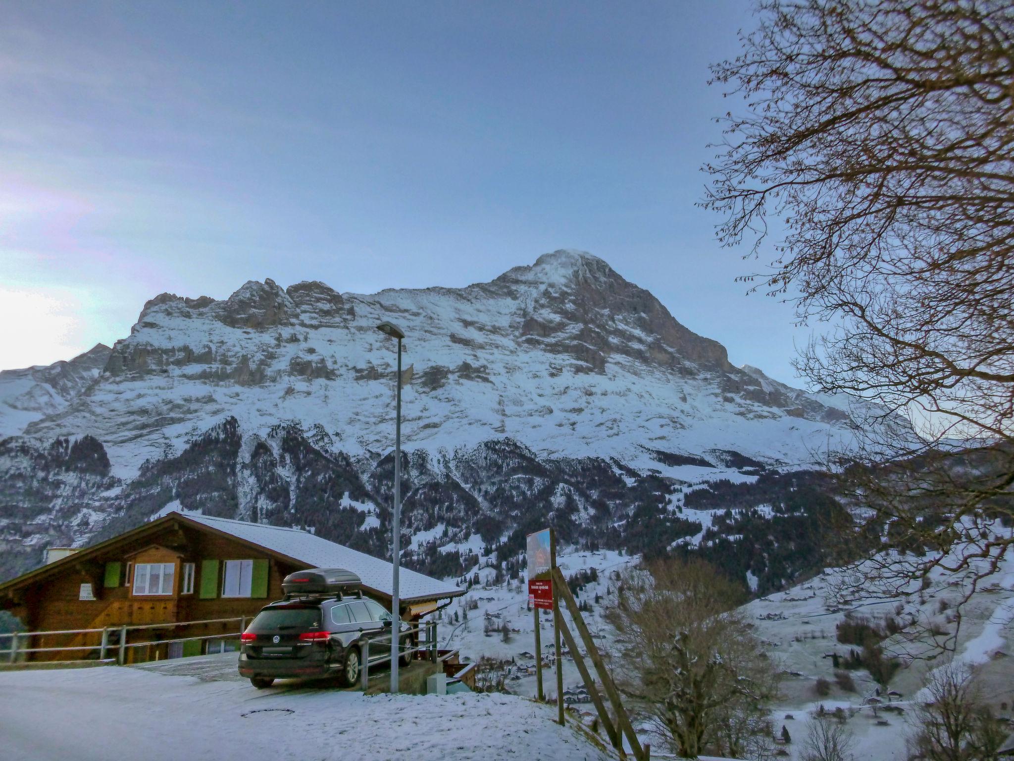 Foto 31 - Apartamento de 1 habitación en Grindelwald con jardín y terraza