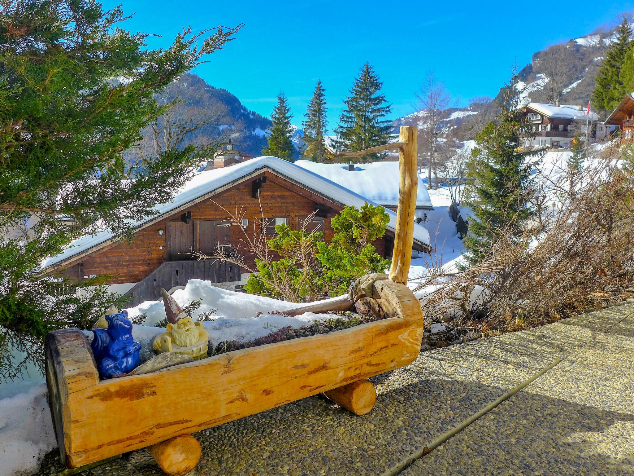 Foto 24 - Appartamento con 1 camera da letto a Grindelwald con giardino e terrazza