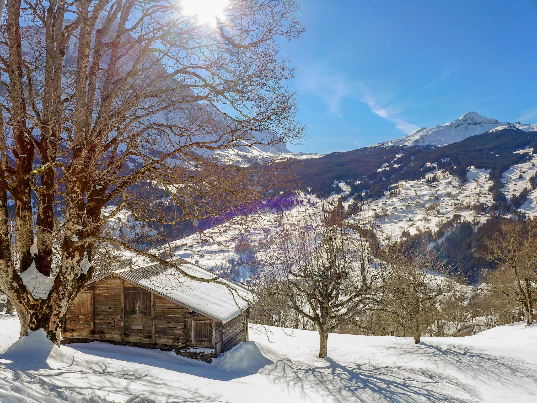 Photo 21 - 1 bedroom Apartment in Grindelwald with garden and terrace