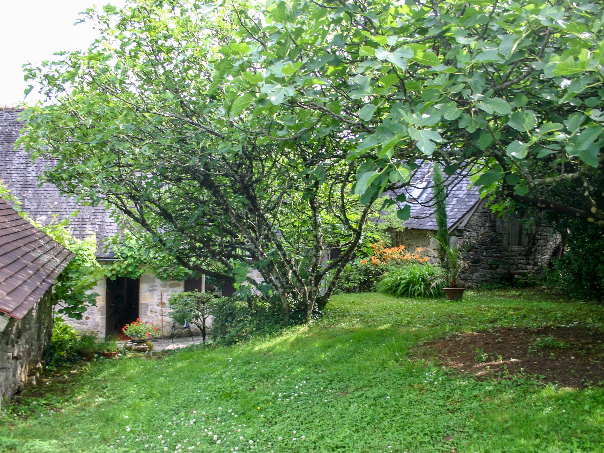 Foto 18 - Casa de 2 quartos em Turenne com terraço