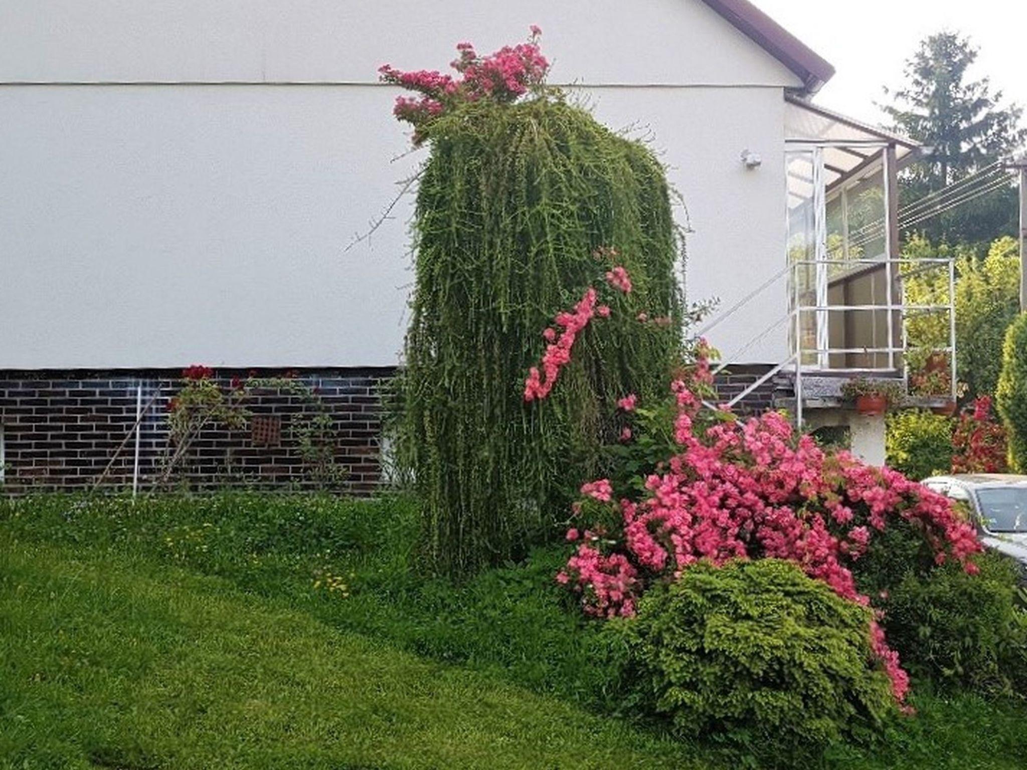 Foto 21 - Casa con 4 camere da letto a Valašská Bystřice con giardino e terrazza