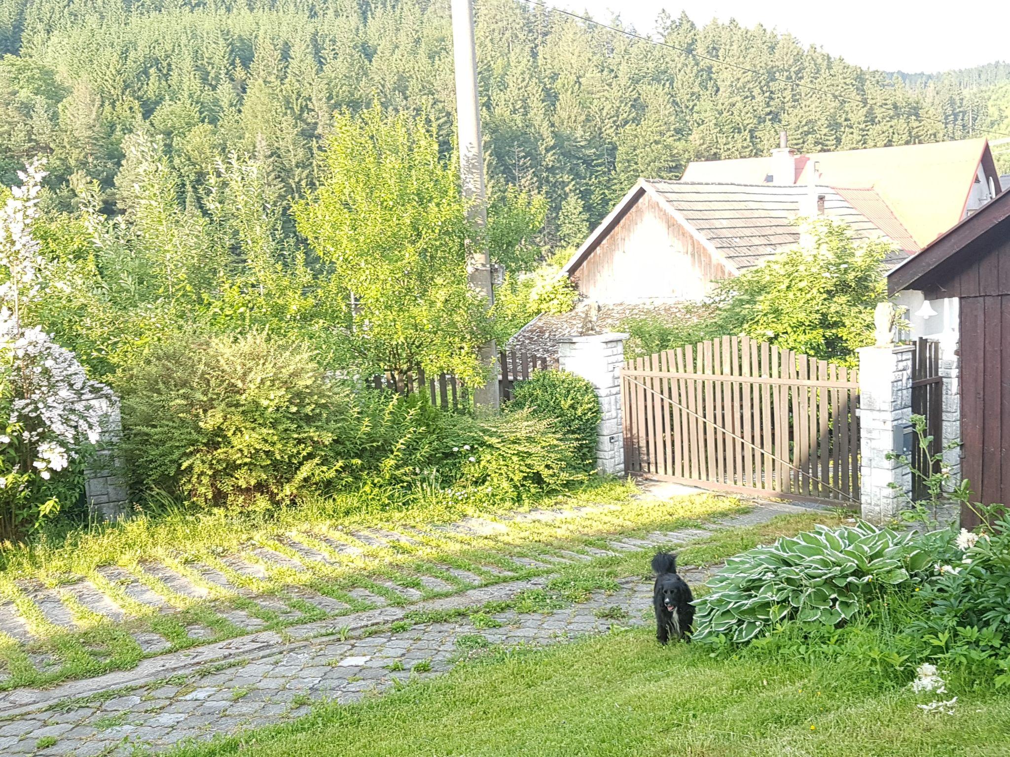 Foto 23 - Casa con 4 camere da letto a Valašská Bystřice con terrazza