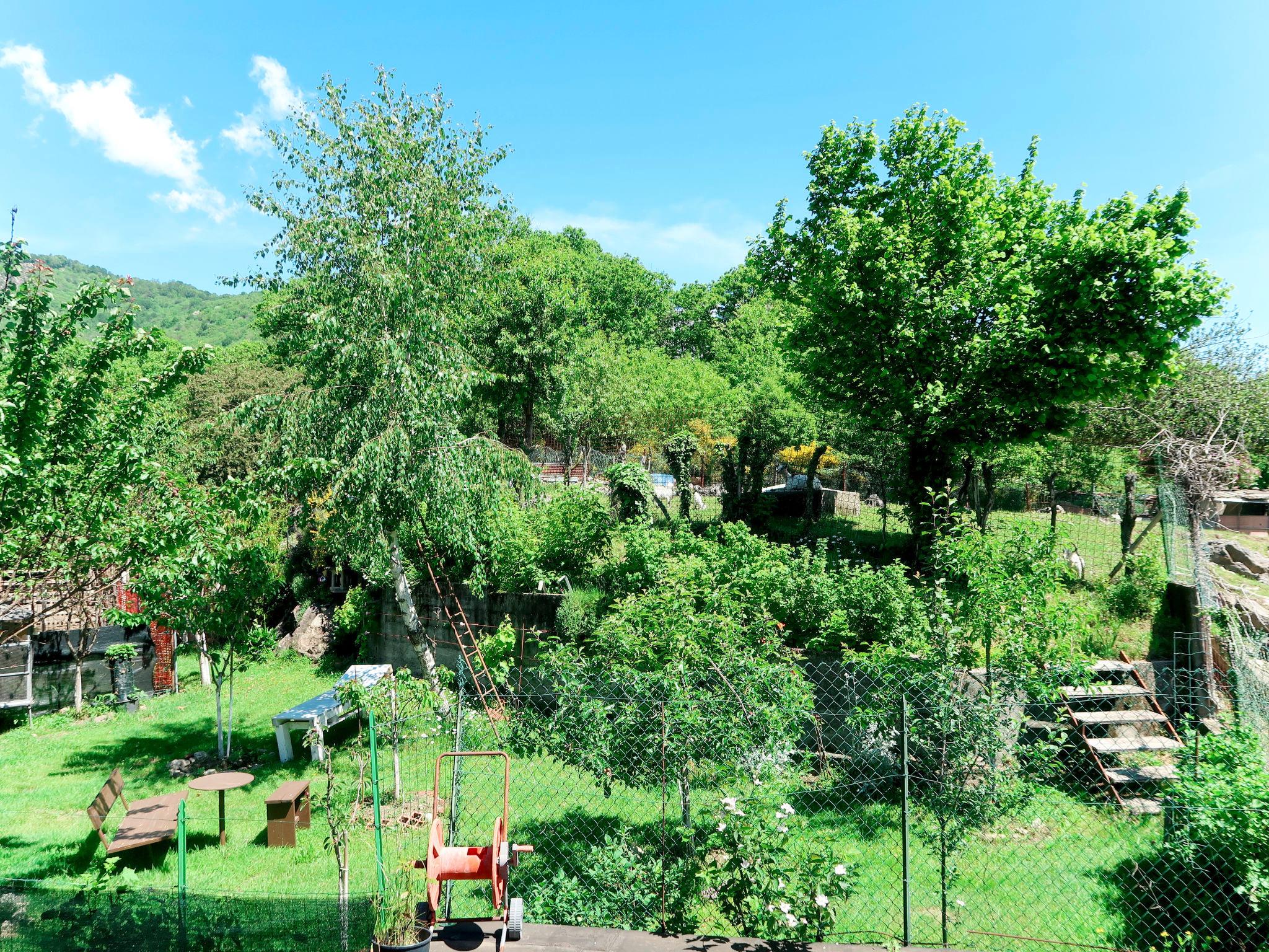 Photo 20 - Apartment in Omegna with garden and terrace