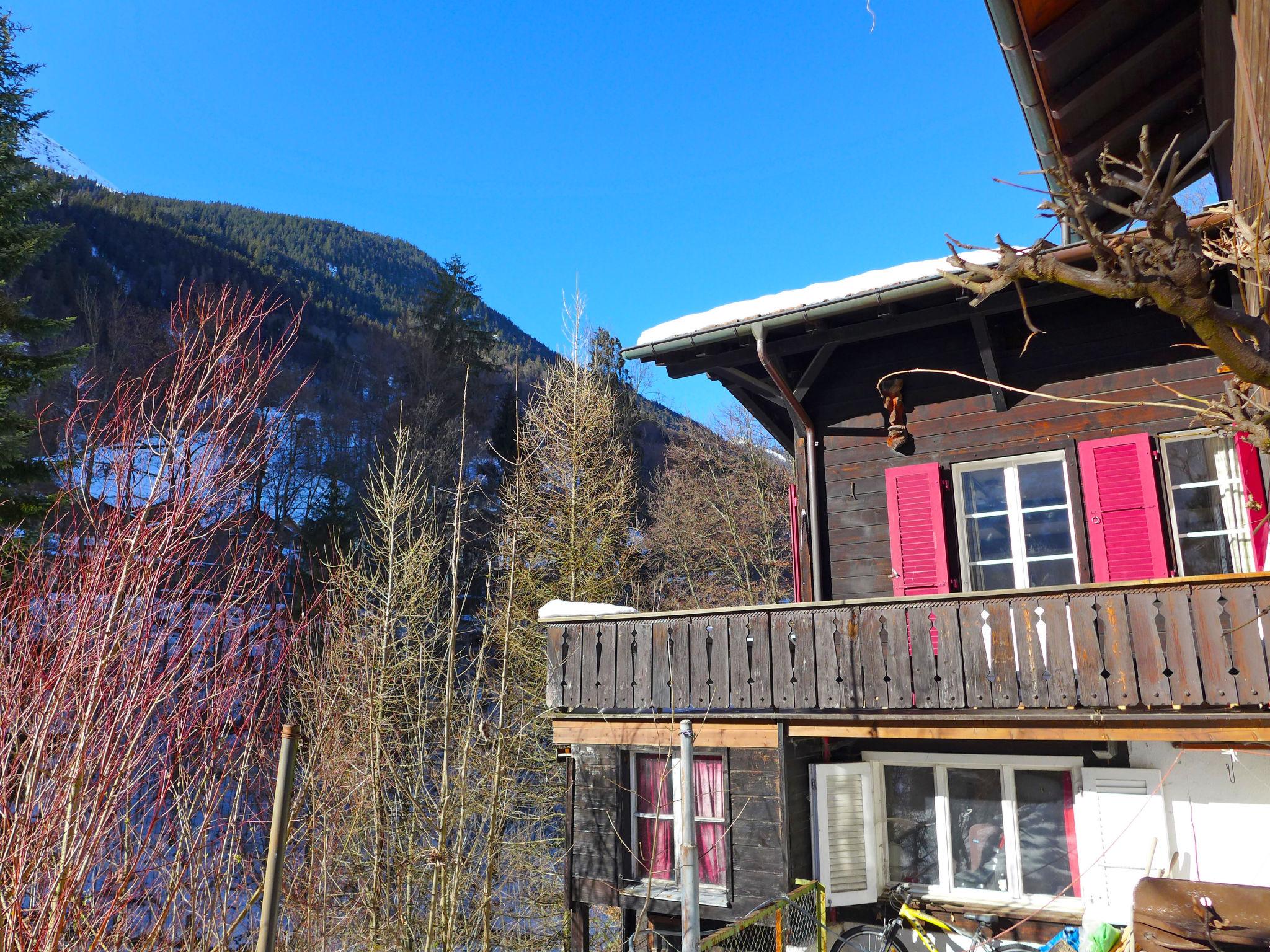 Foto 22 - Apartamento de 1 quarto em Lauterbrunnen com jardim e vista para a montanha