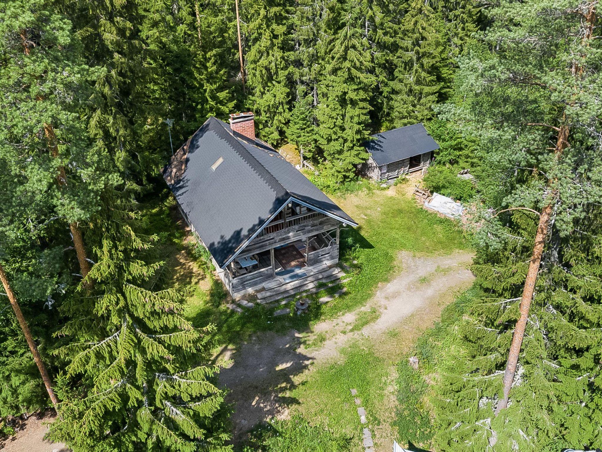 Foto 1 - Haus mit 1 Schlafzimmer in Punkalaidun mit sauna