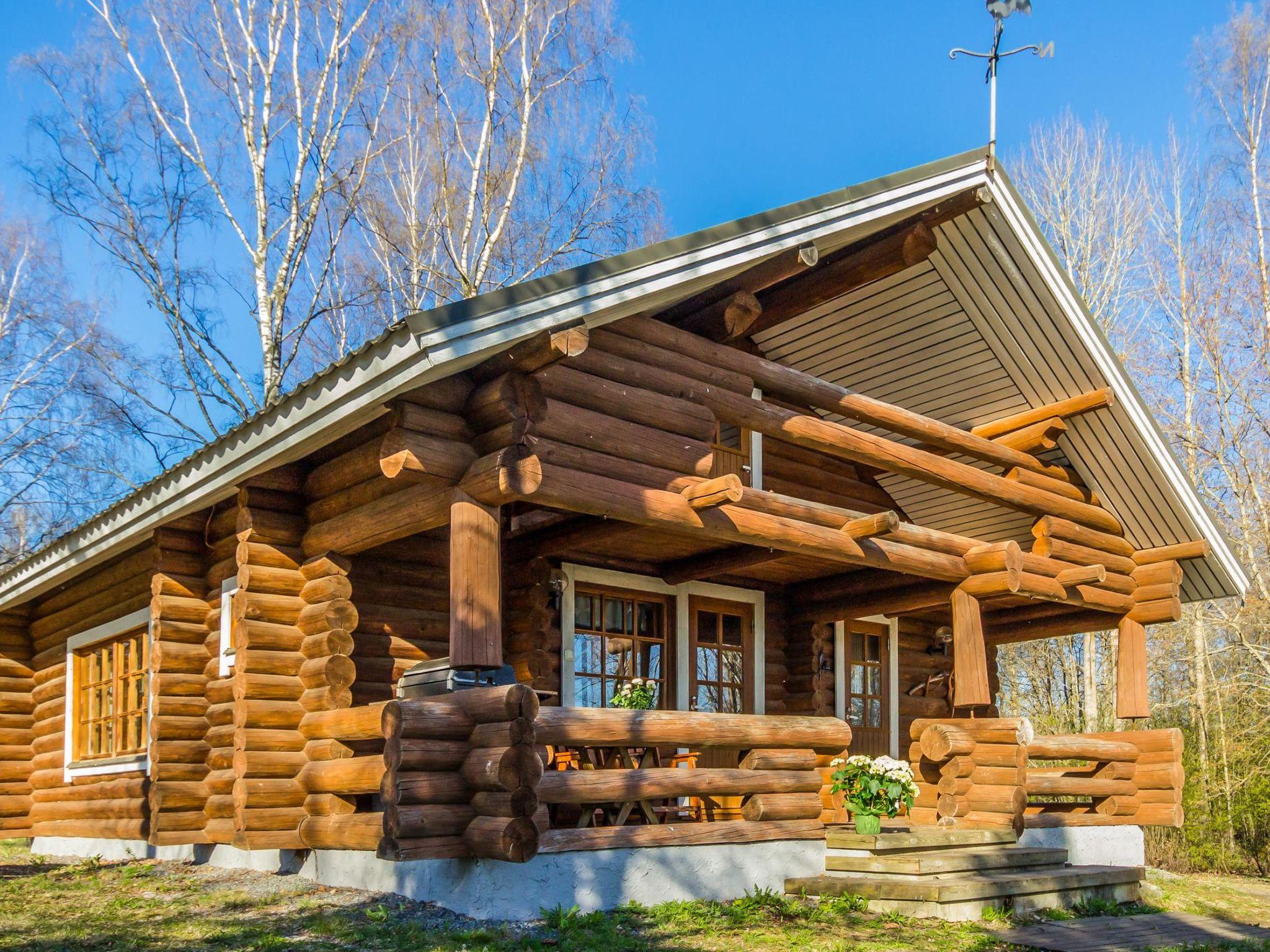 Foto 1 - Haus mit 1 Schlafzimmer in Hämeenlinna mit sauna