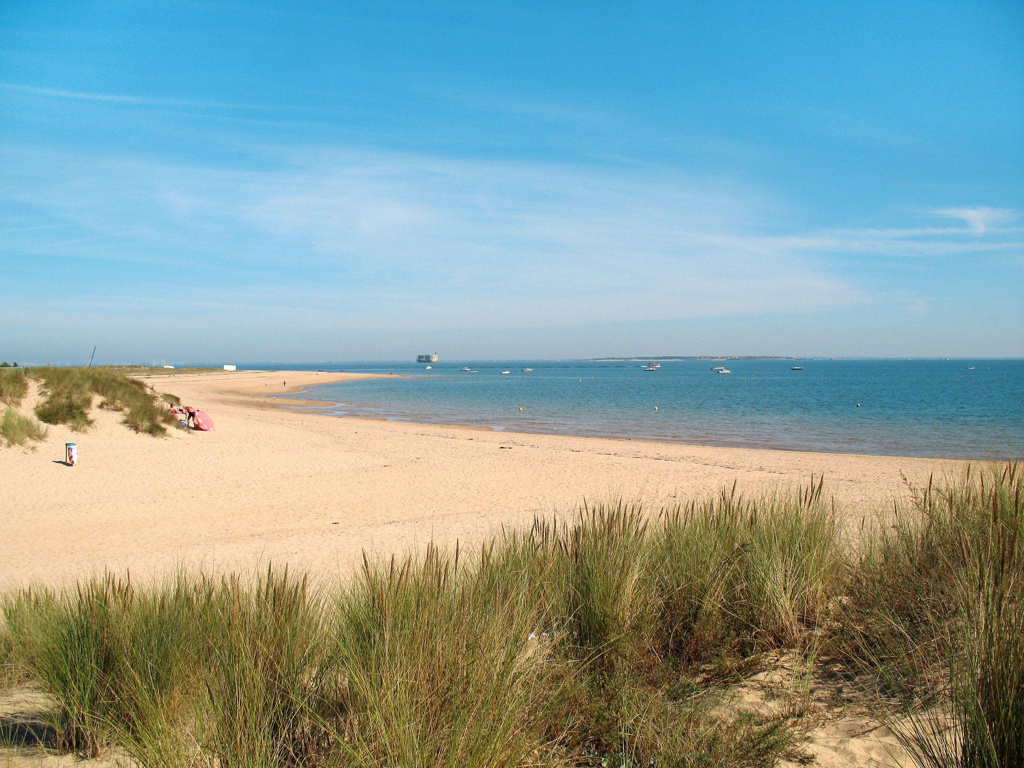 Foto 49 - Haus mit 3 Schlafzimmern in Saint-Pierre-d'Oléron mit garten und blick aufs meer