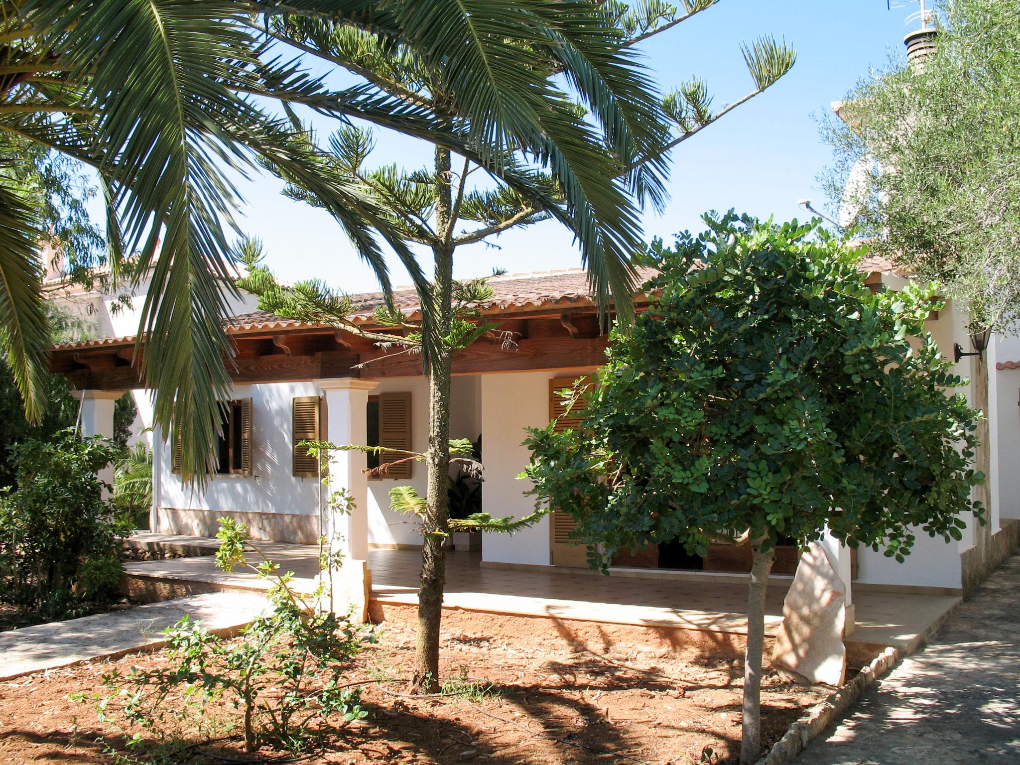 Foto 18 - Casa con 3 camere da letto a Manacor con giardino e vista mare