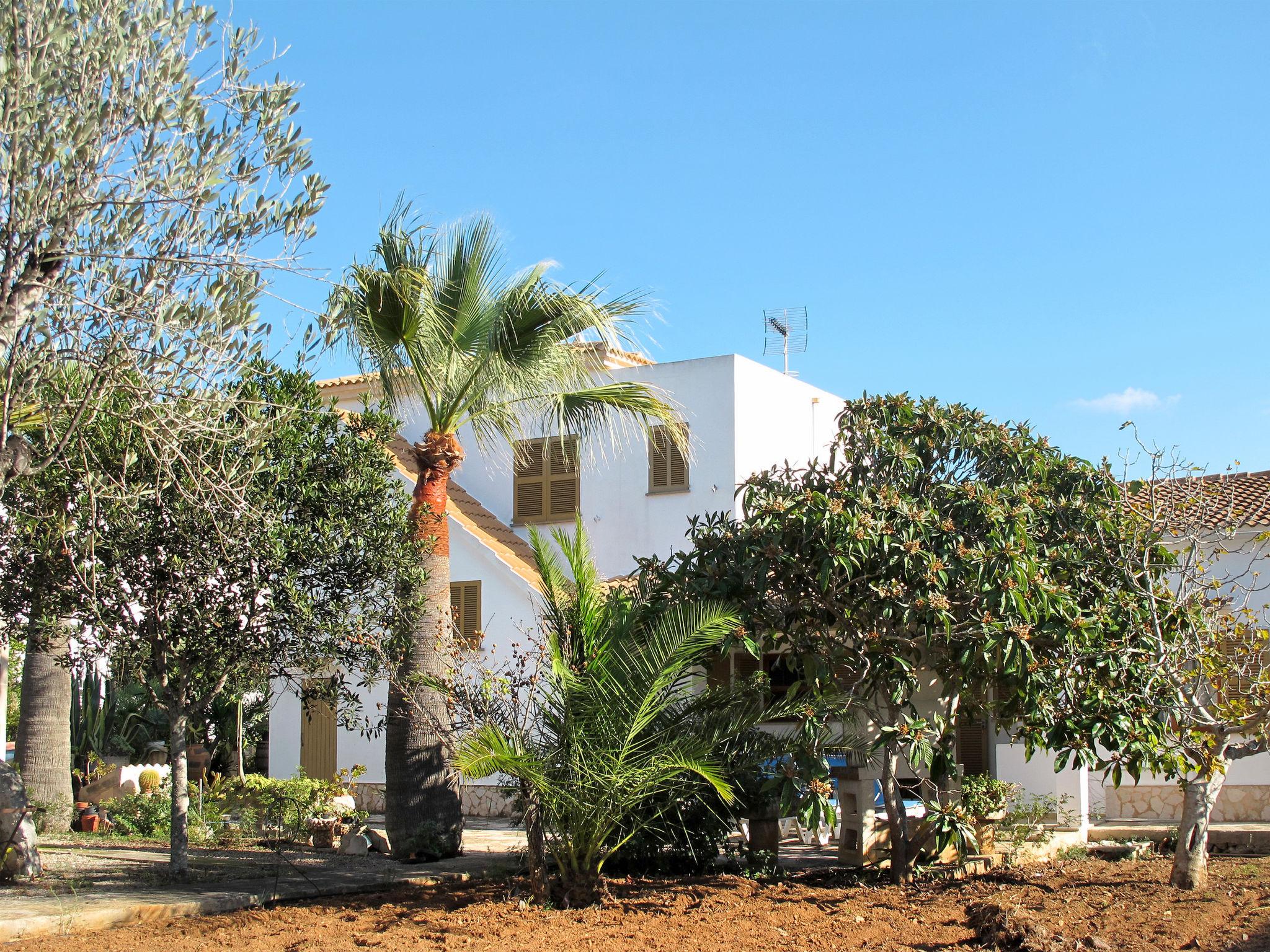 Foto 17 - Casa de 3 habitaciones en Manacor con jardín y terraza