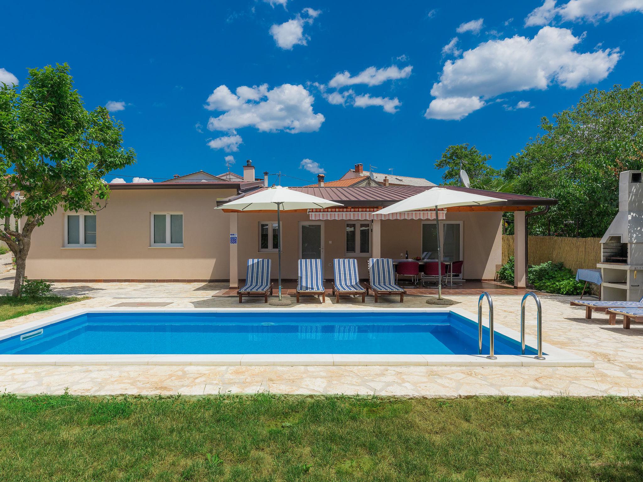 Photo 38 - Maison de 3 chambres à Sveti Petar u Šumi avec piscine privée et jardin