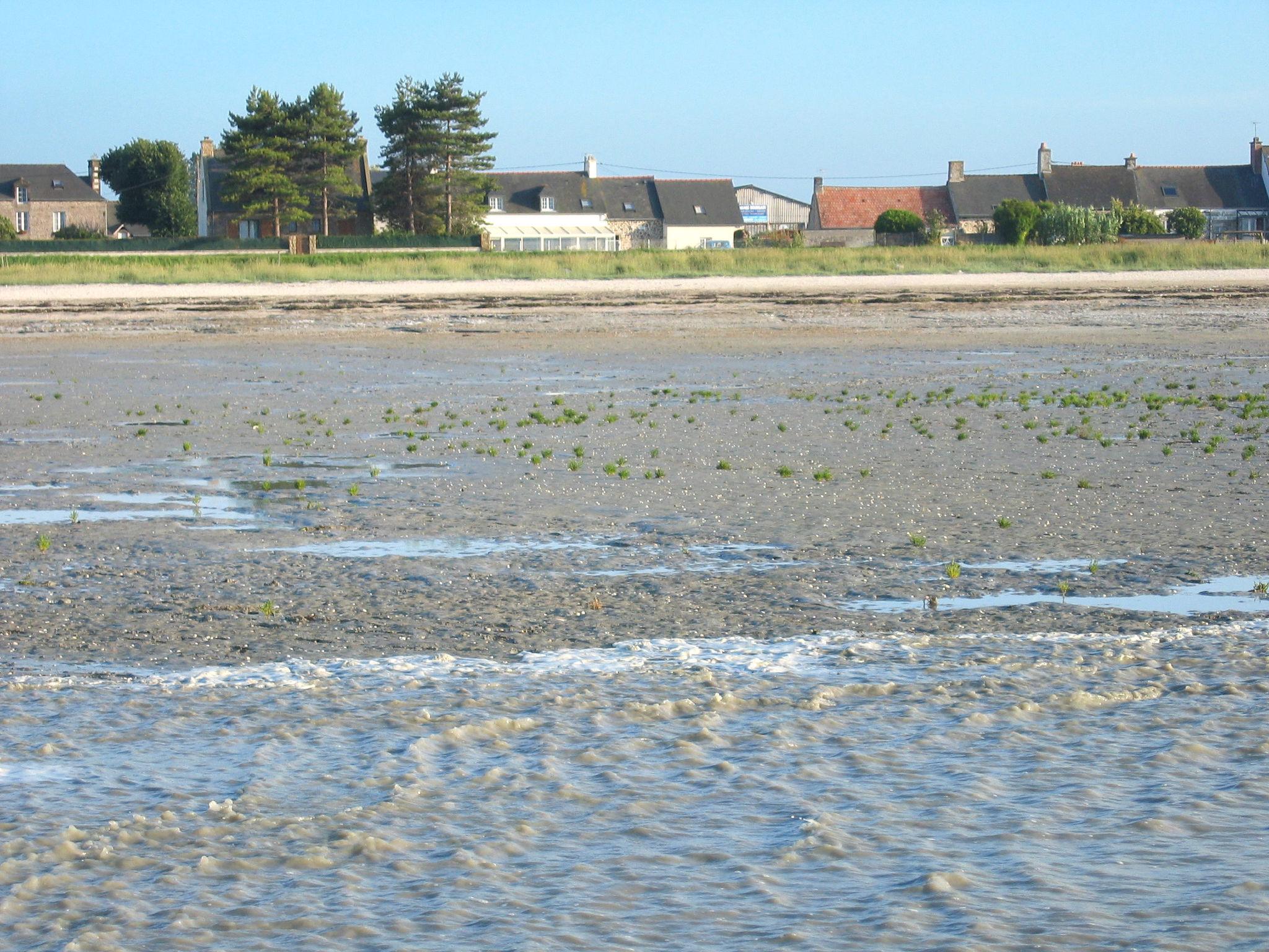 Photo 3 - Appartement de 1 chambre à Cherrueix avec jardin et vues à la mer