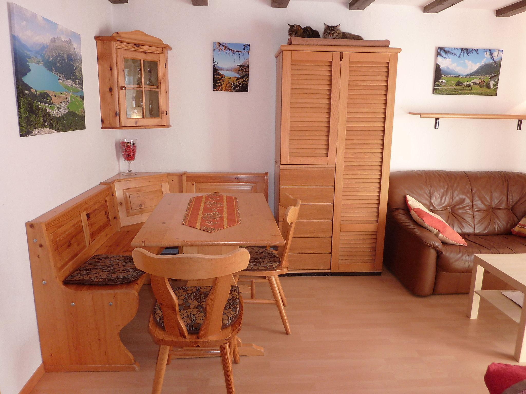 Photo 2 - Apartment in Silvaplana with garden and mountain view