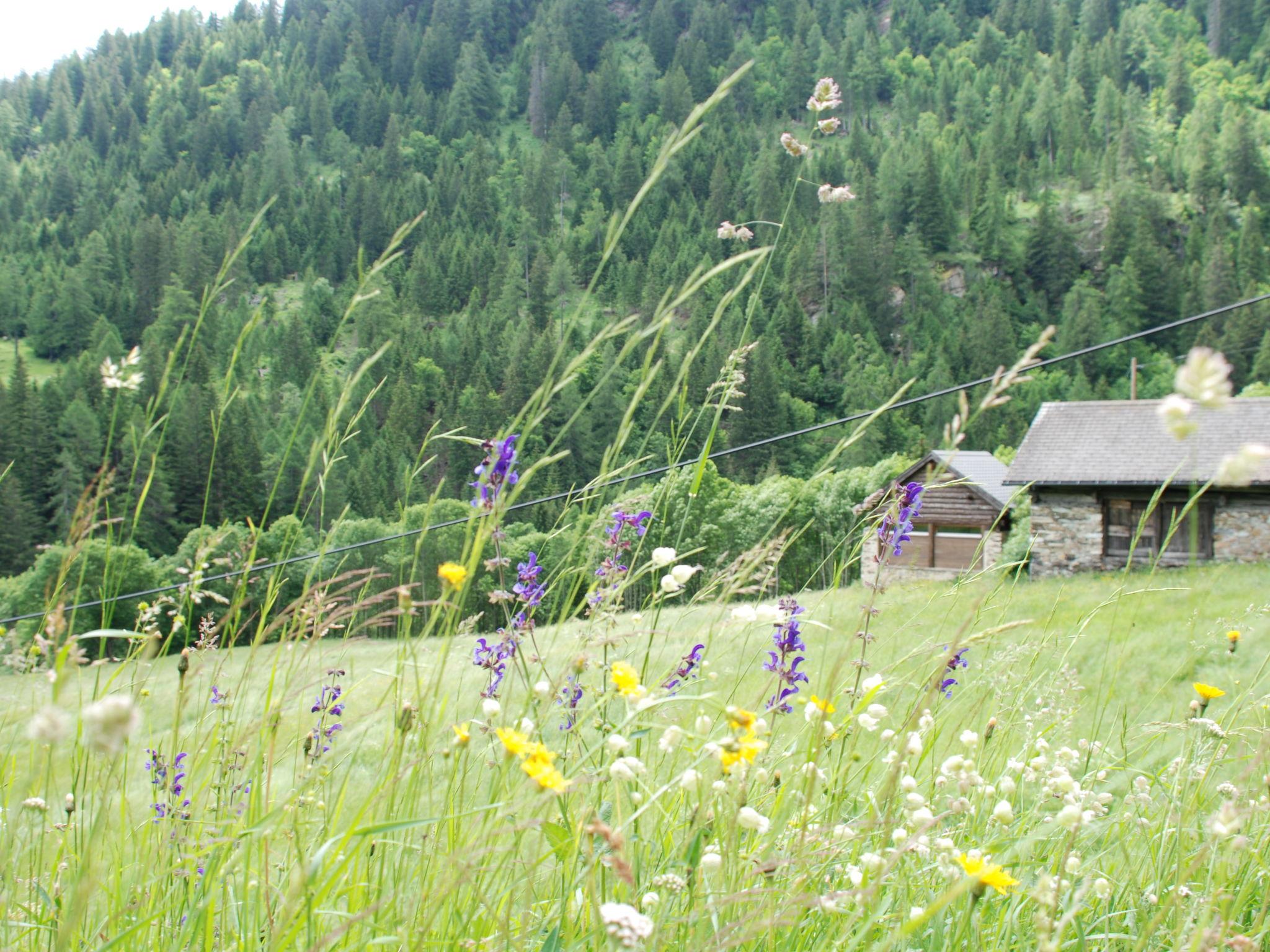 Photo 24 - 1 bedroom House in Blenio with garden and mountain view