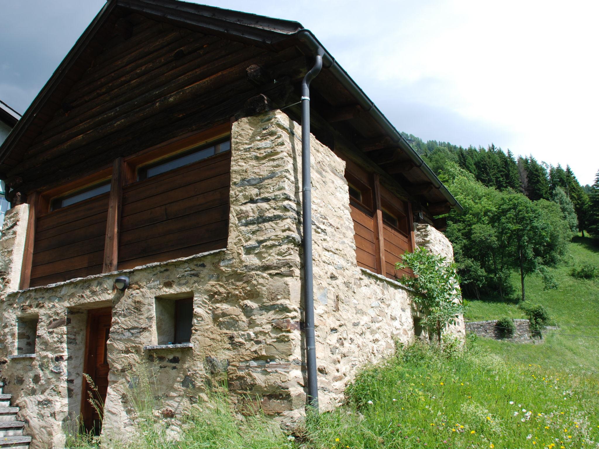 Foto 36 - Casa de 1 habitación en Blenio con jardín y vistas a la montaña