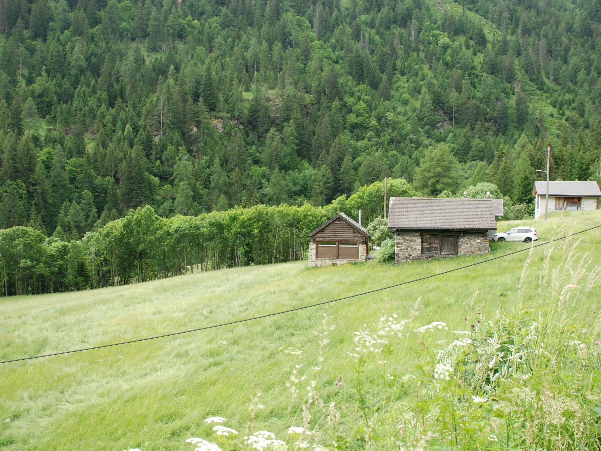 Foto 26 - Casa de 1 quarto em Blenio com jardim e vista para a montanha